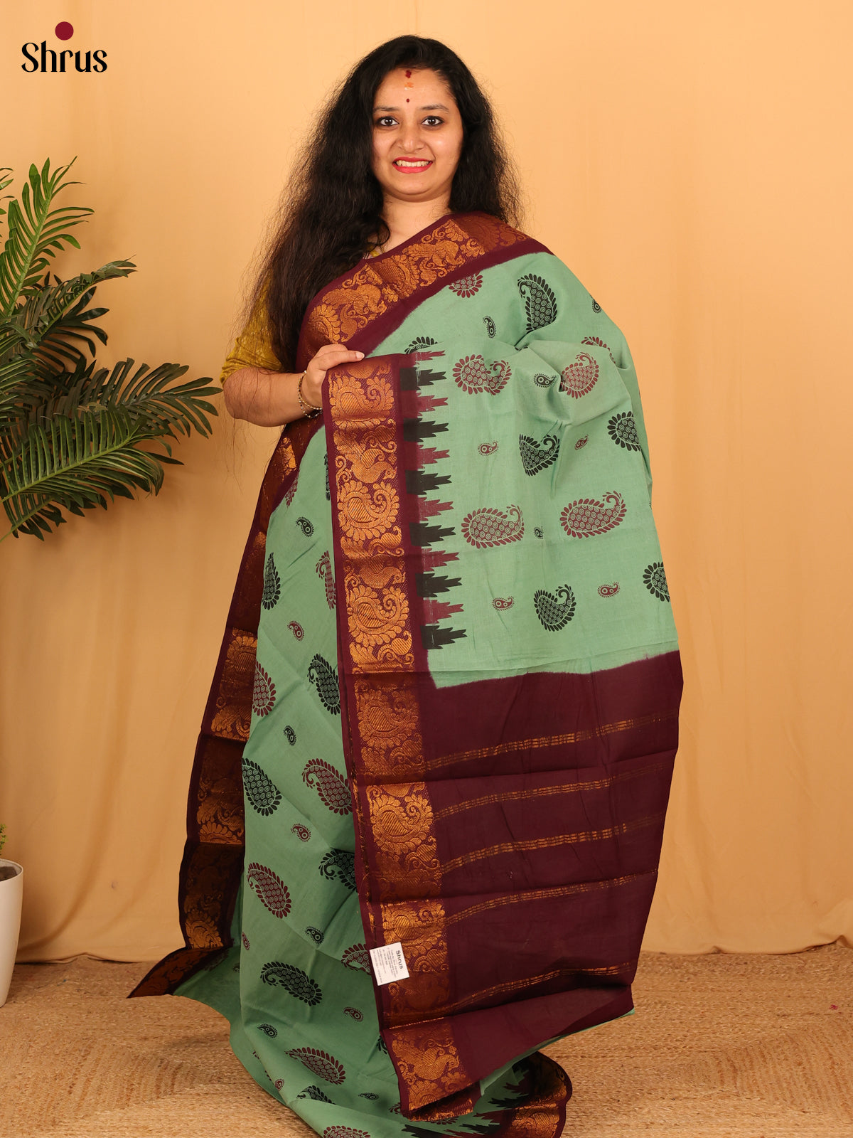 Green & Brown - Sungudi Cotton Saree - Shop on Shrus.com