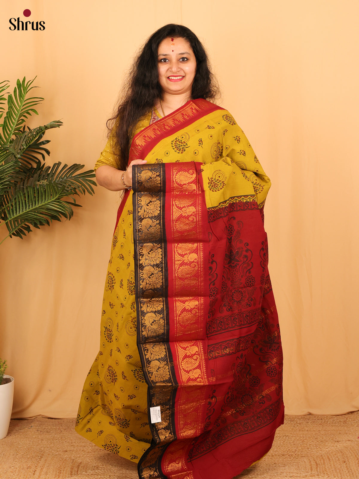 Mustard & Maroon - Sungudi Cotton Saree - Shop on Shrus.com
