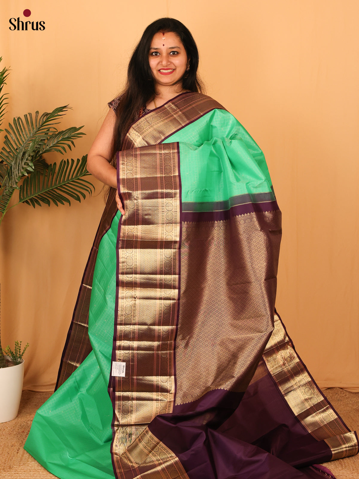 Green & Brown - Kanchipuram silk Saree - Shop on Shrus.com