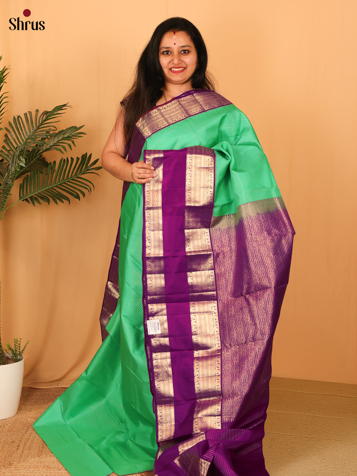 Green & Violet - Kanchipuram silk Saree - Shop on Shrus.com