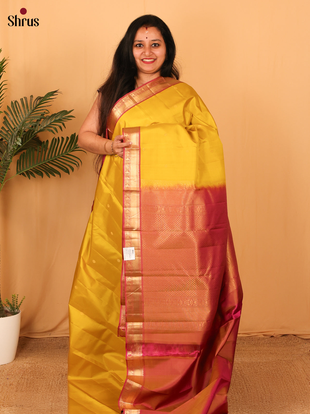 Mustardy Yellow & Maroon - Kanchipuram silk Saree - Shop on Shrus.com