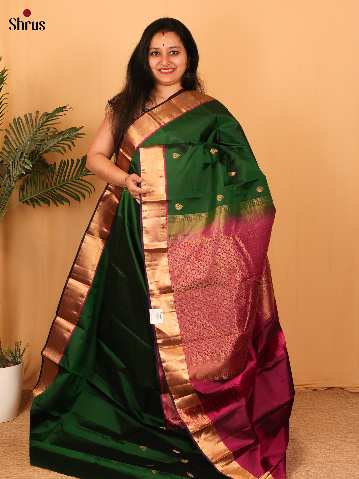 Green & Purple - Kanchipuram silk Saree - Shop on Shrus.com