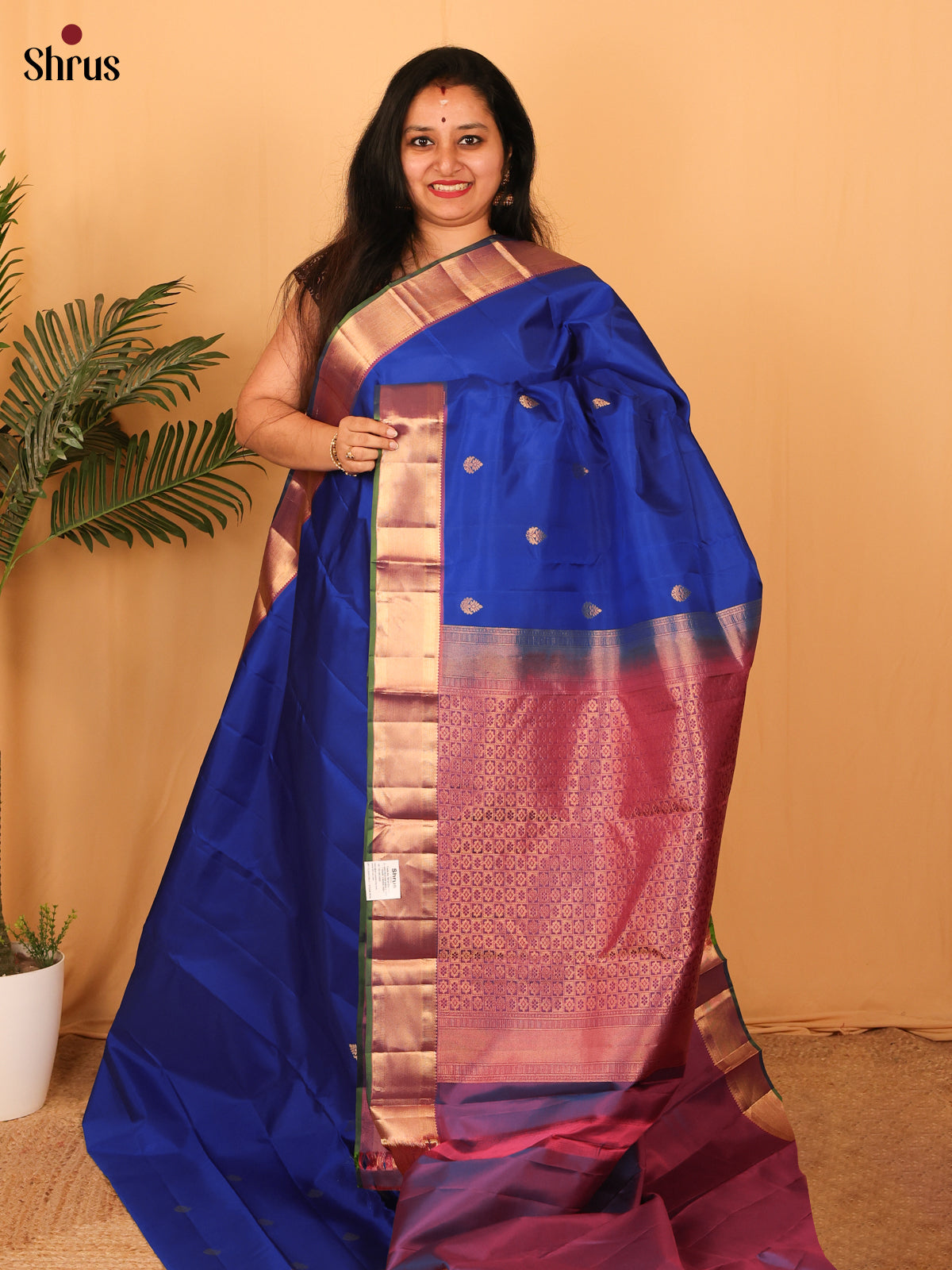 Blue & Purple - Kanchipuram silk Saree - Shop on Shrus.com