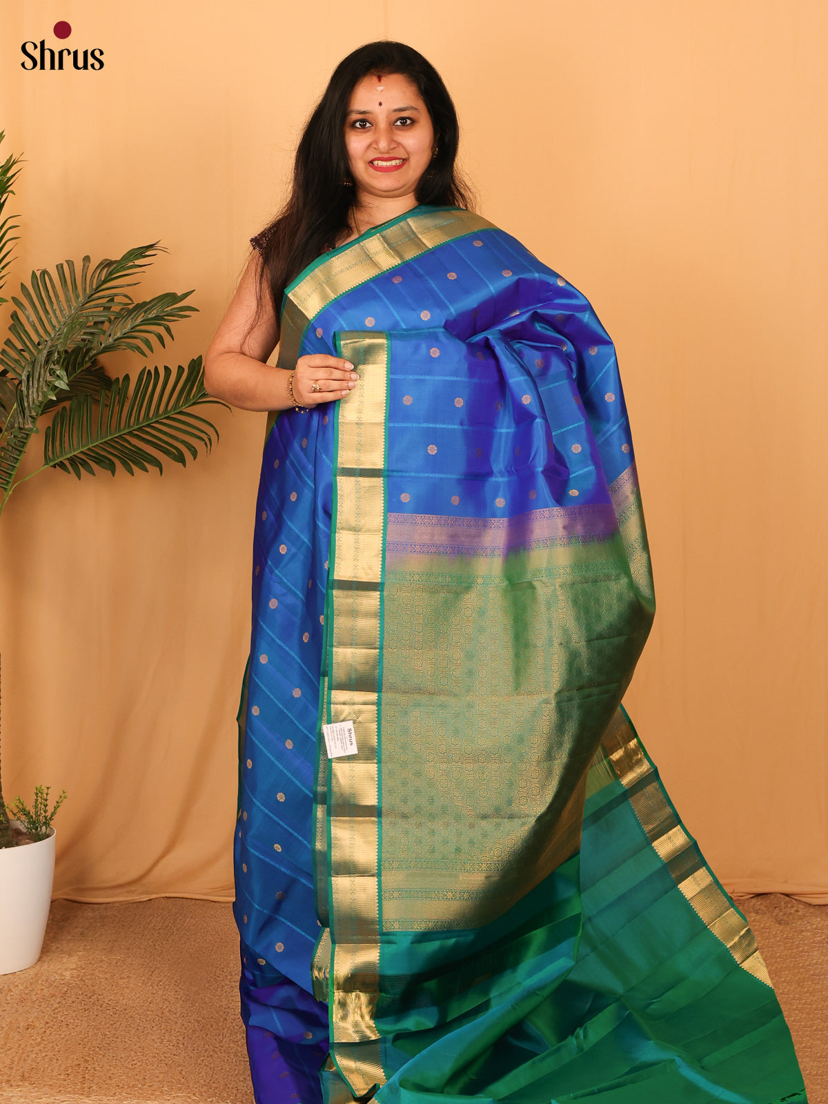 Blue & Green - Kanchipuram silk Saree - Shop on Shrus.com
