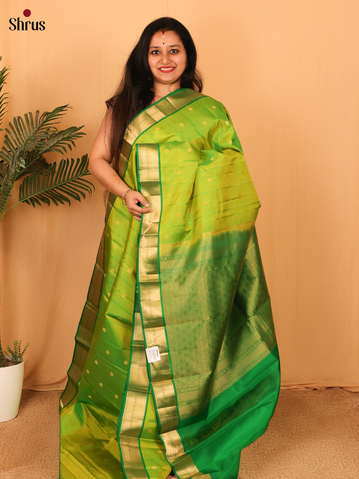 Lite Green & Green - Kanchipuram silk Saree - Shop on Shrus.com