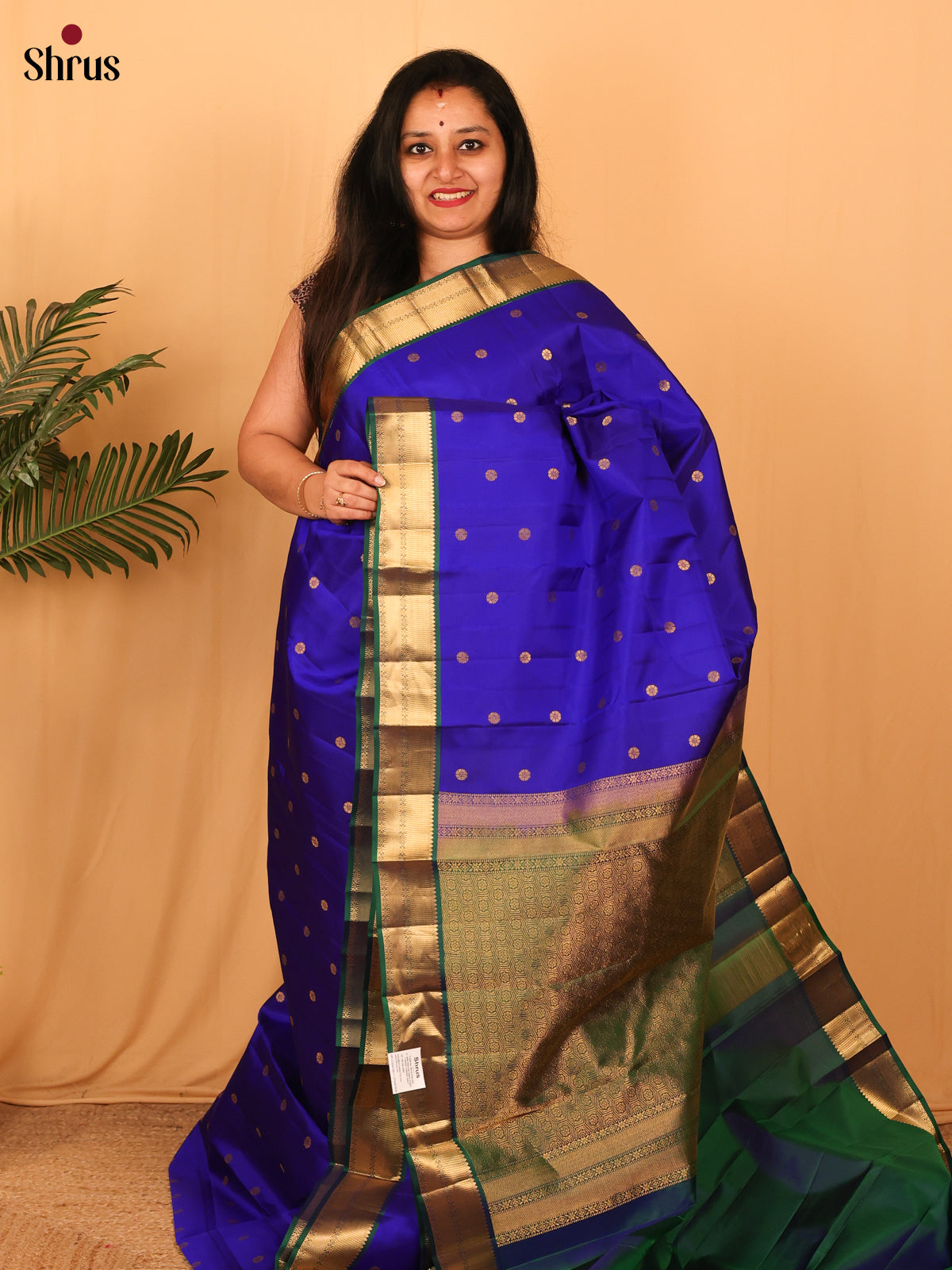 Blue & Green - Kanchipuram silk Saree - Shop on Shrus.com