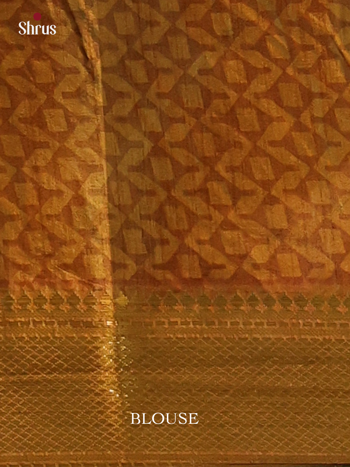 Blue & Green - Semi Patola Saree - Shop on Shrus.com