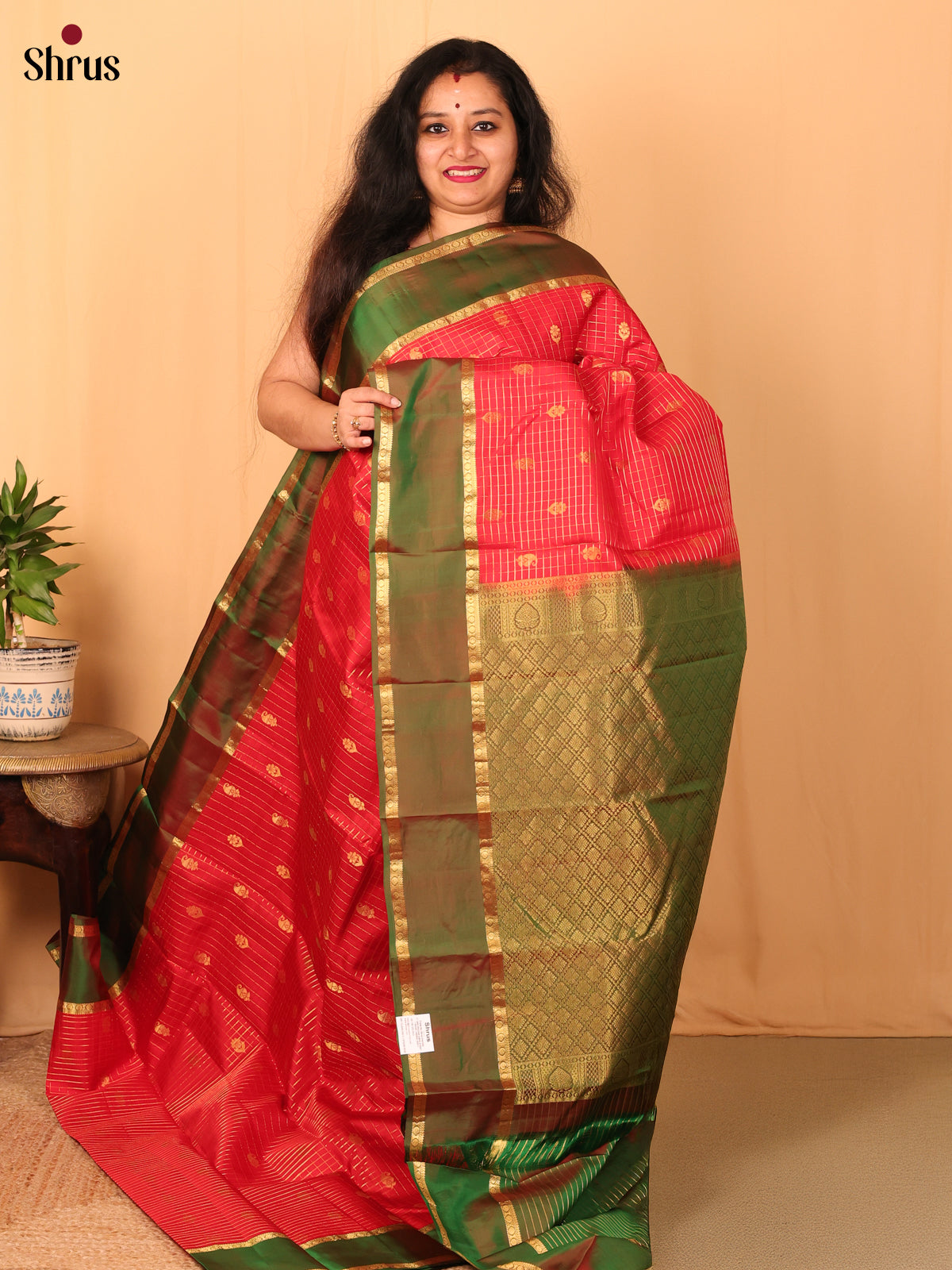 Red and Green Kanchipuram silk Saree With Zari Woven Checks And Floral Buttas-1