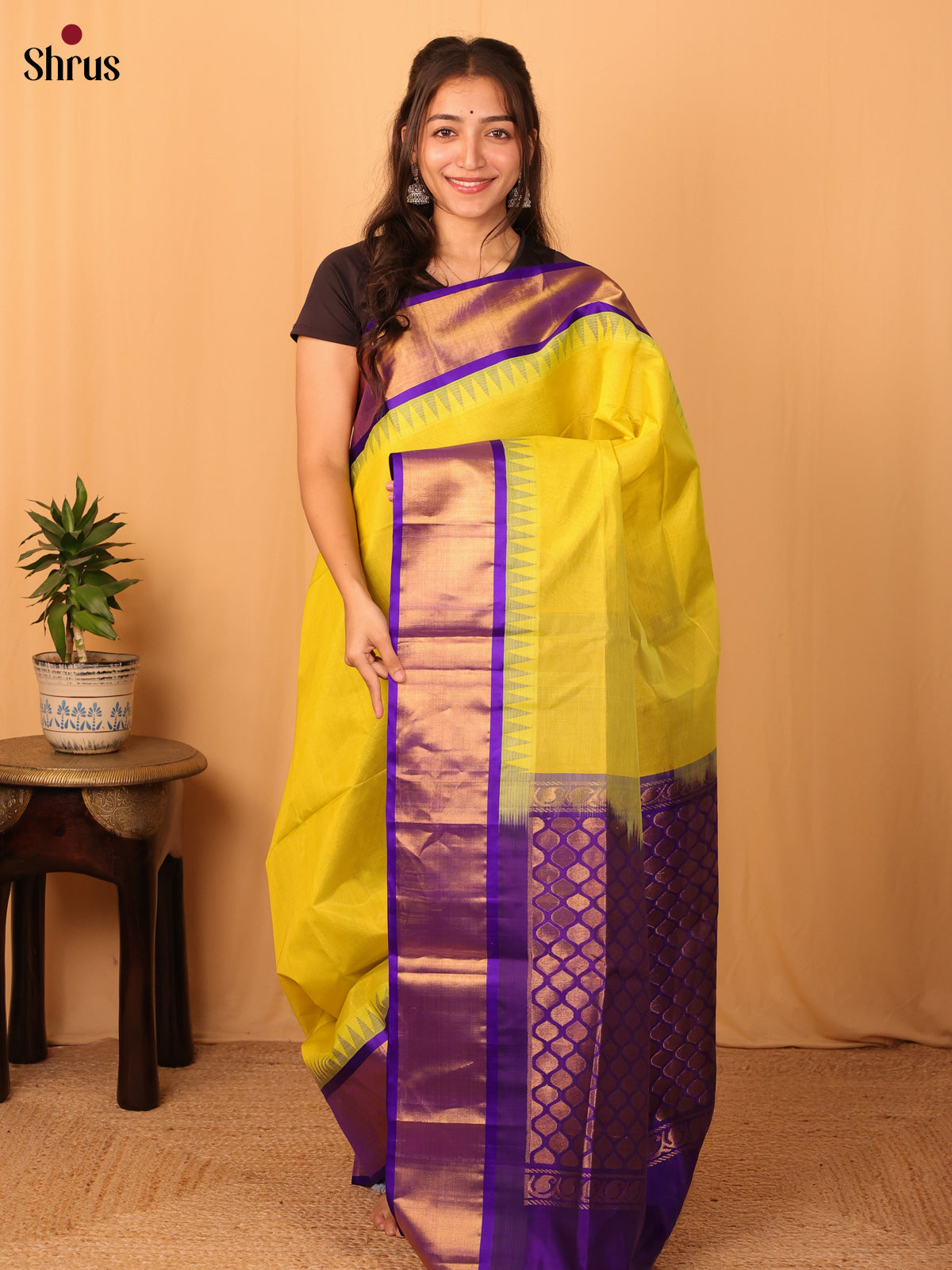 Mustardy Green & Violet - Silk Cotton Saree - Shop on Shrus.com