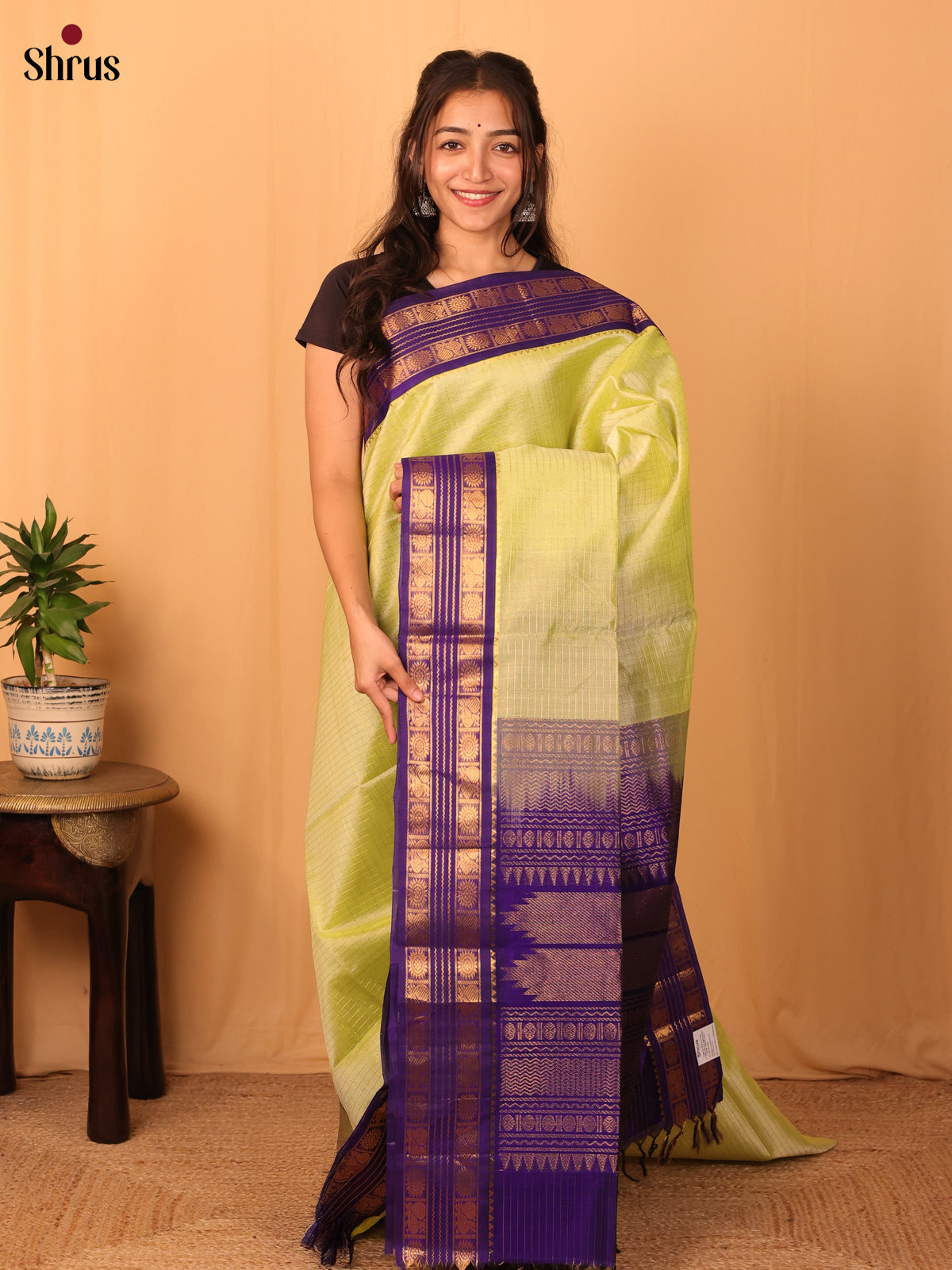 Green & Violet - Silk Cotton Saree - Shop on Shrus.com