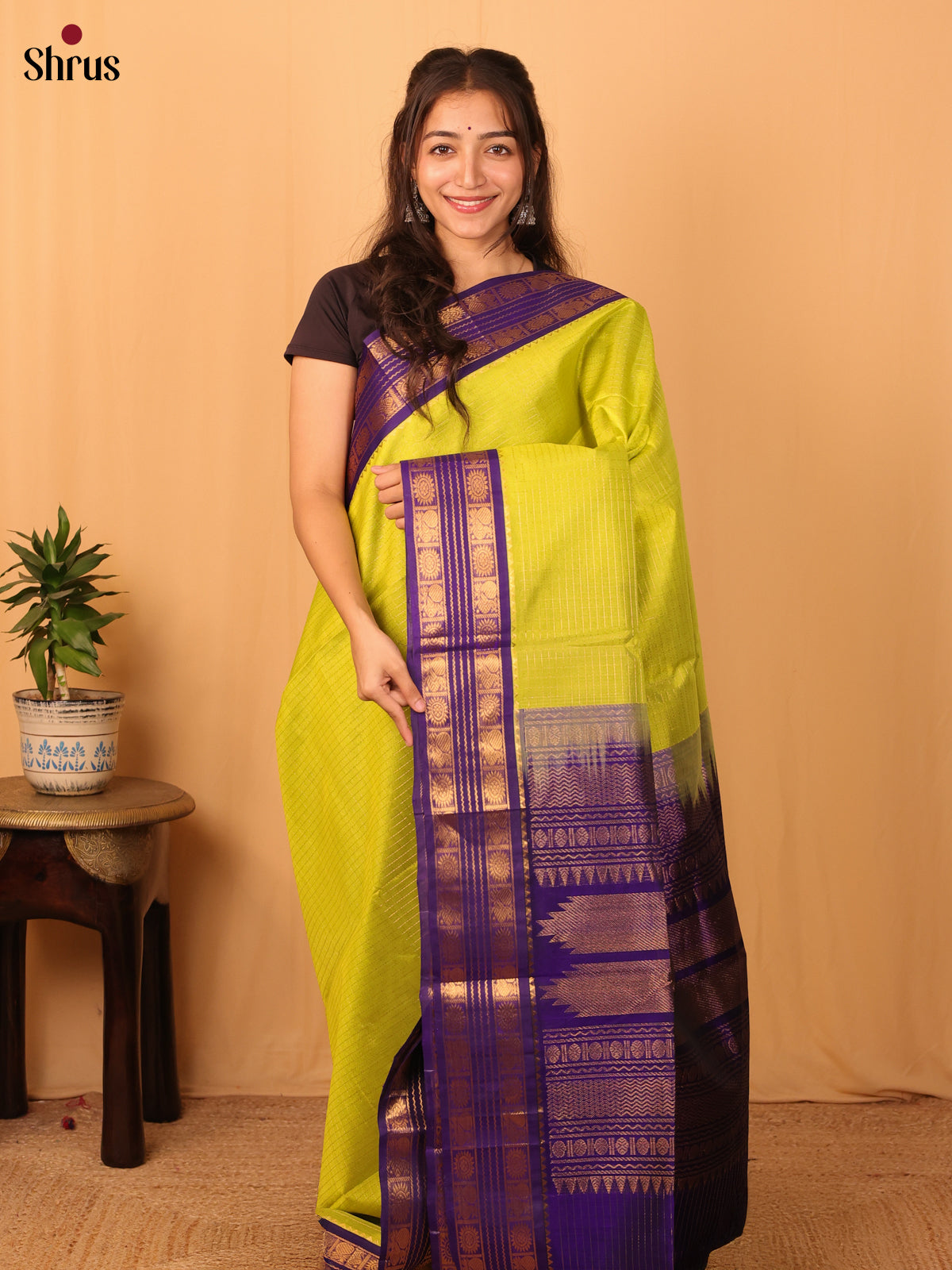 Green & Violet - Silk Cotton Saree - Shop on Shrus.com