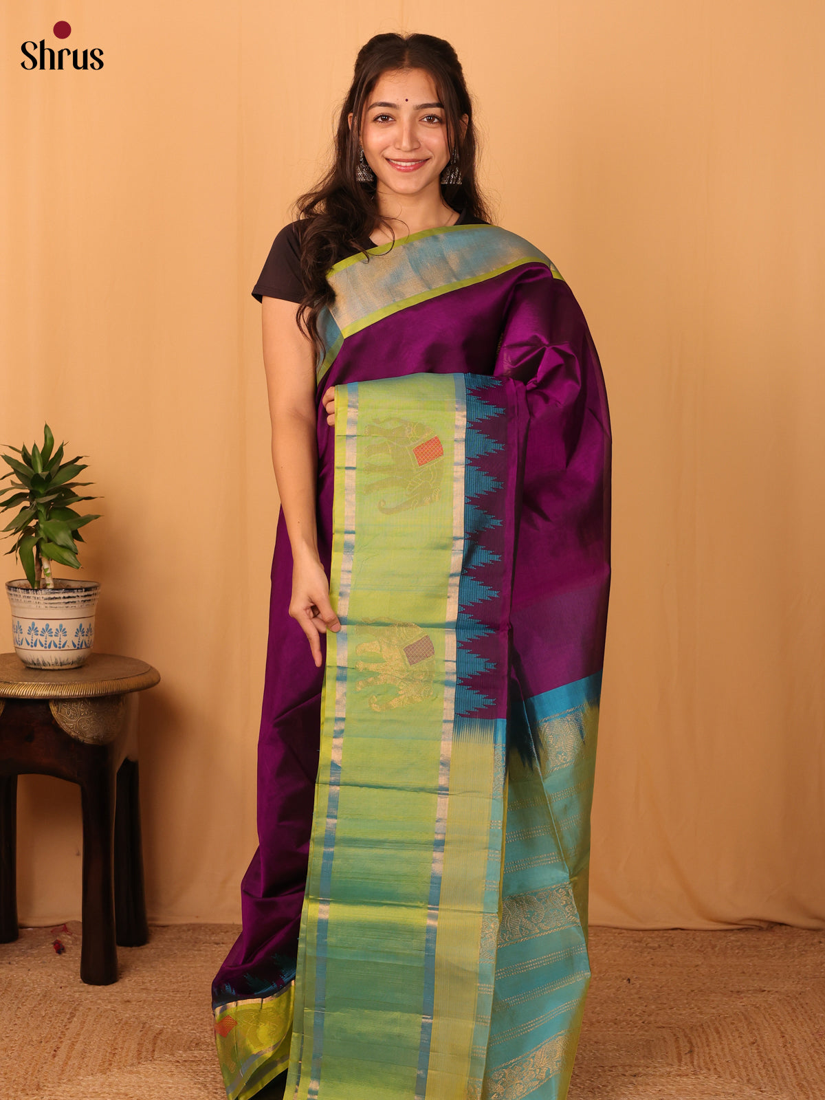 Jamun & Green - Silk Cotton Saree - Shop on Shrus.com