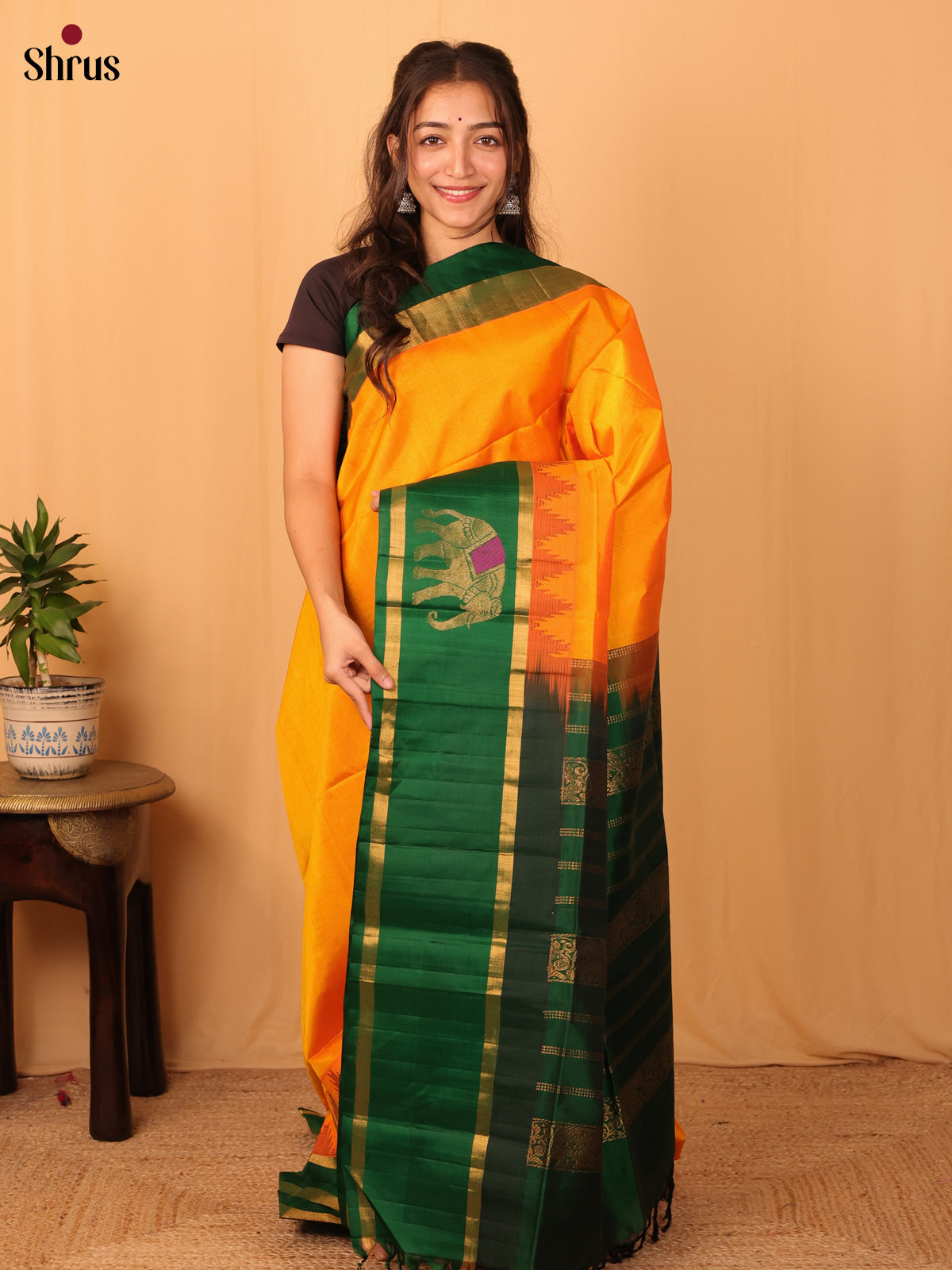 Mustard & Green - Silk Cotton Saree - Shop on Shrus.com