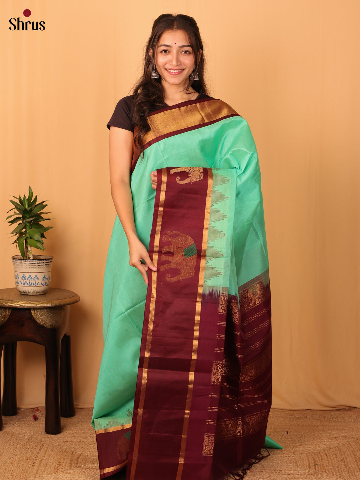 Pastel Green & Brown - Silk Cotton Saree - Shop on Shrus.com