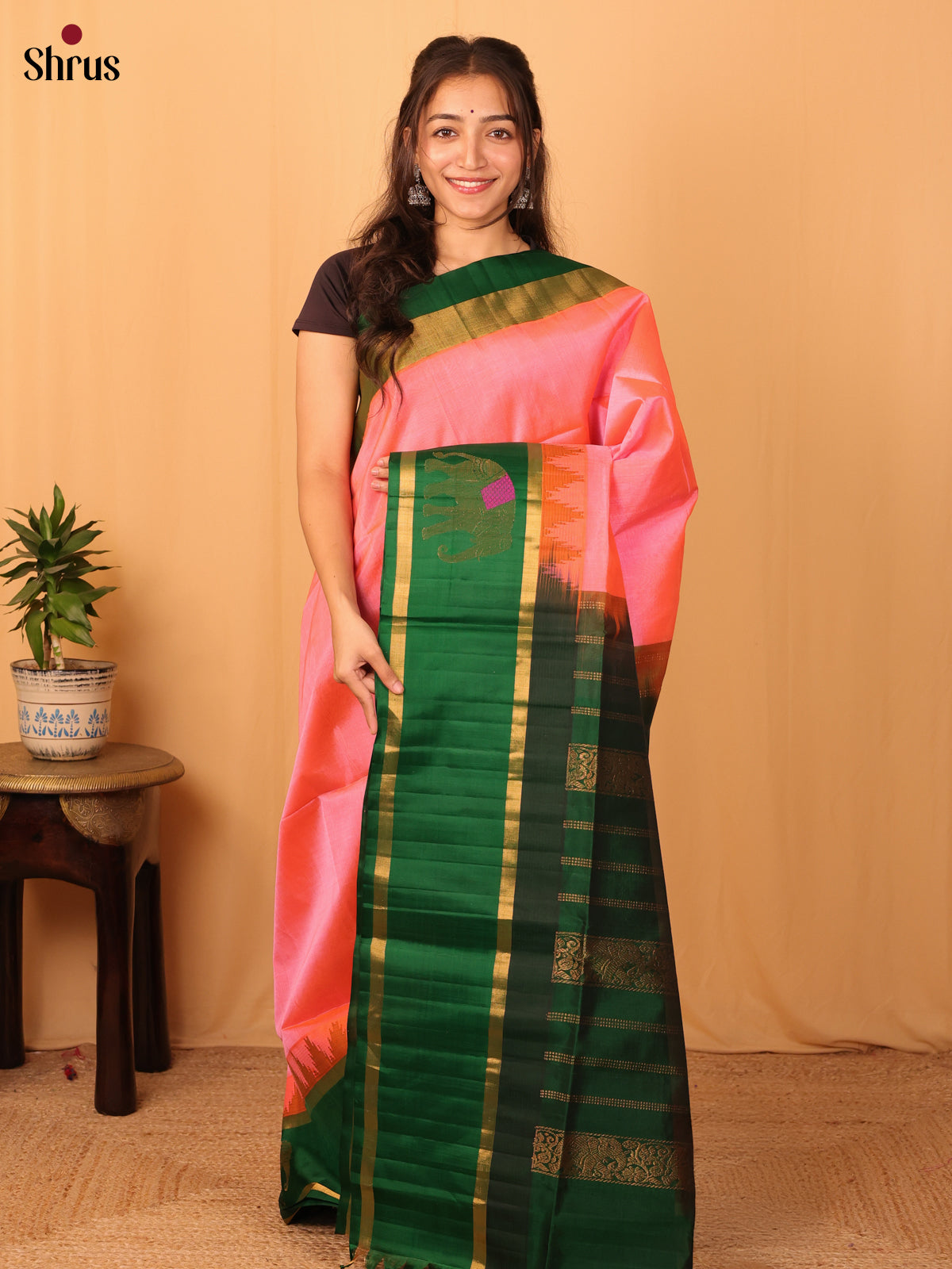 Pink & Green - Silk Cotton Saree - Shop on Shrus.com