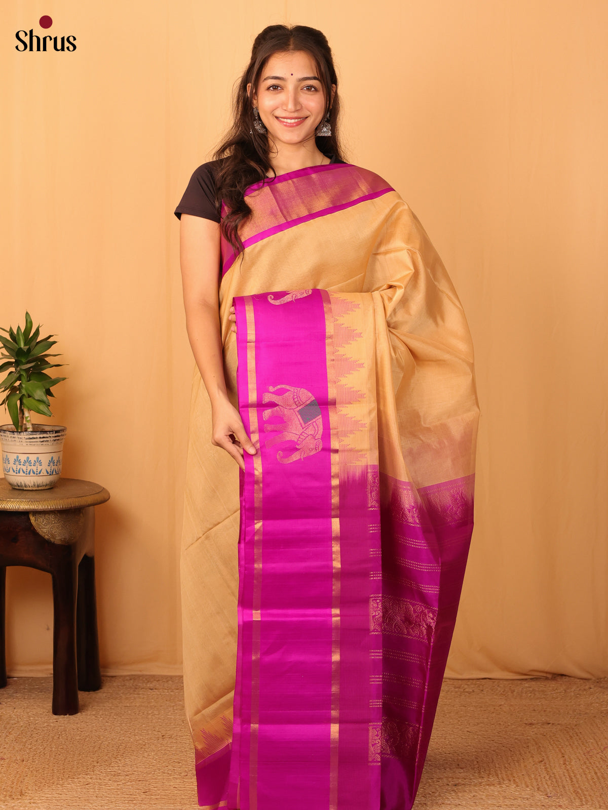 Beige & Pink - Silk Cotton Saree - Shop on Shrus.com