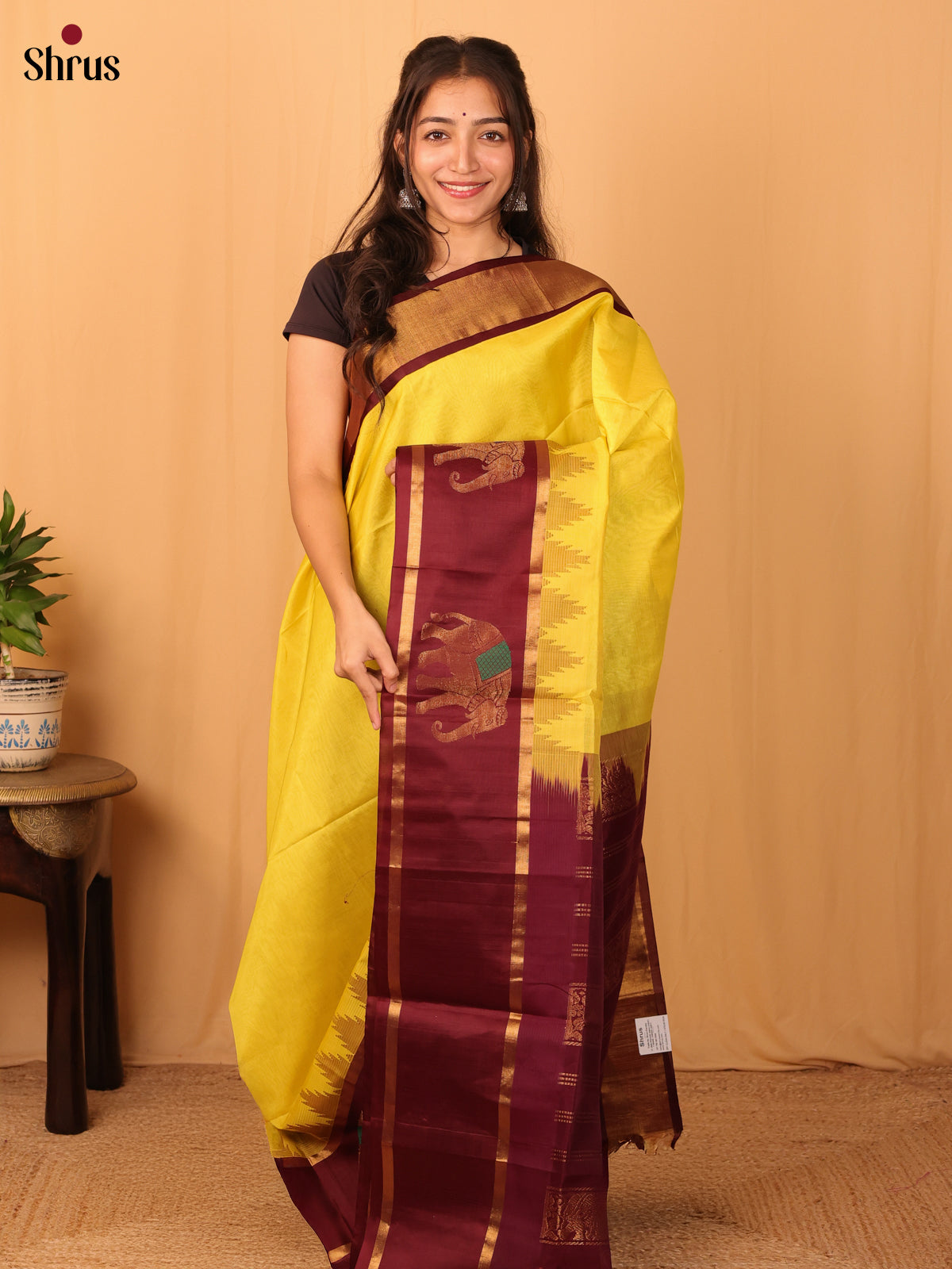 Yellow & Brown - Silk Cotton Saree - Shop on Shrus.com