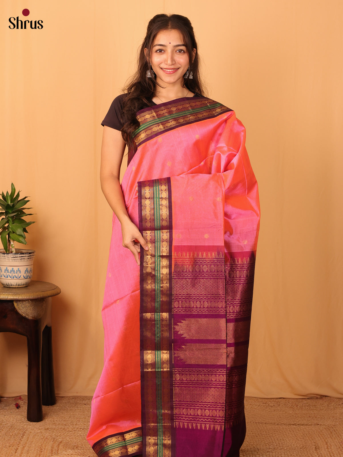 Pink & Purple - Silk Cotton Saree - Shop on Shrus.com