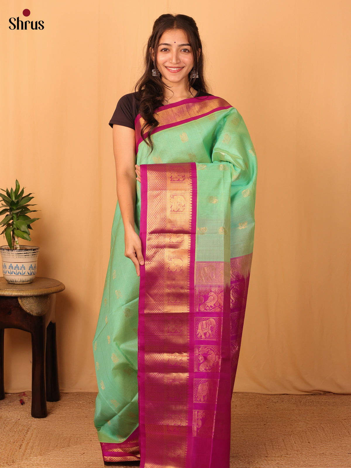 Pastel Green & Pink - Silk Cotton Saree - Shop on Shrus.com