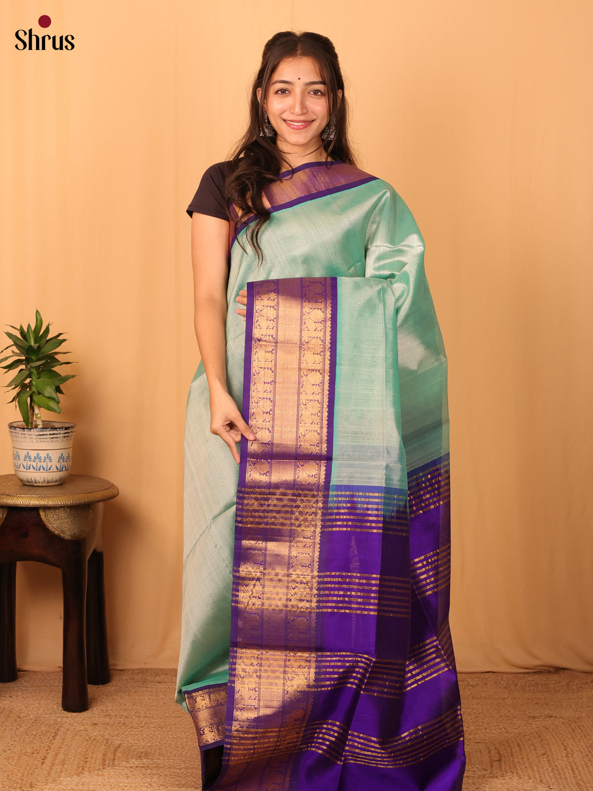 Teal Green & Violet - Silk Cotton Saree - Shop on Shrus.com