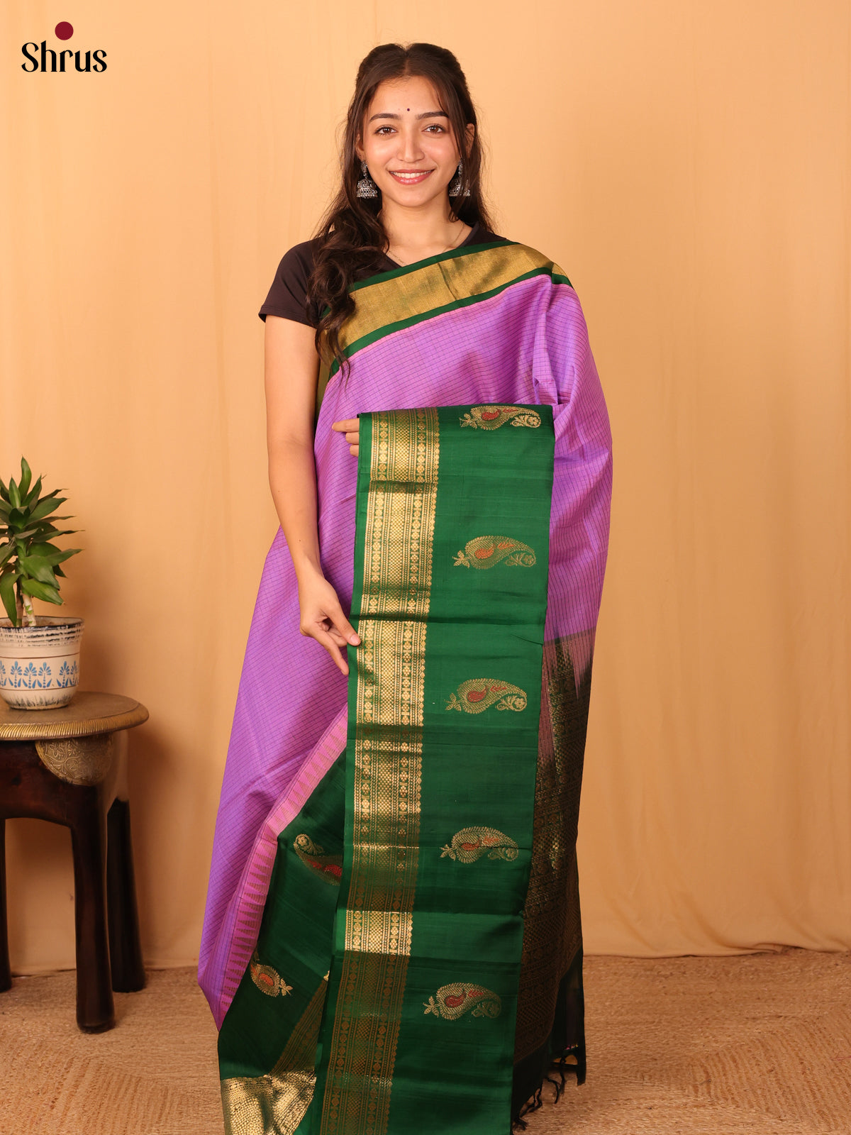 Purple & Green - Silk Cotton Saree - Shop on Shrus.com
