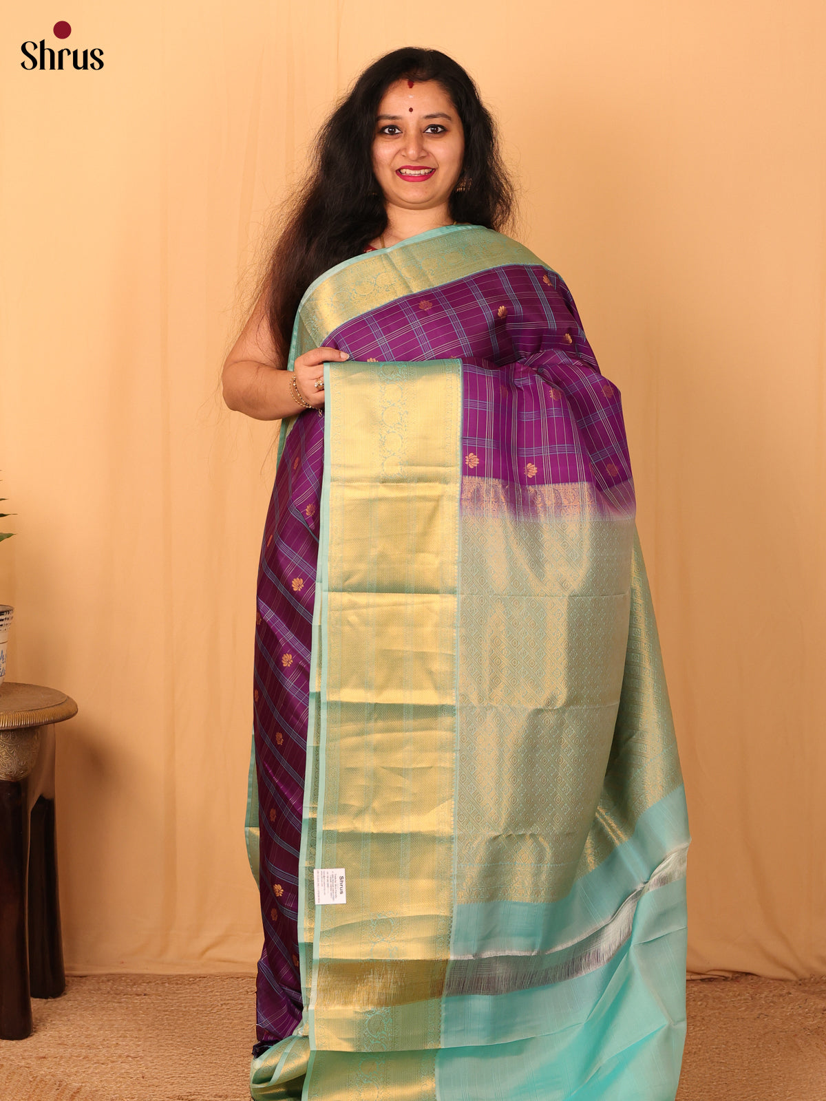 Violet and Pastel Green Pure Kanchipuram silk Saree With Thread Woven Checks-1
