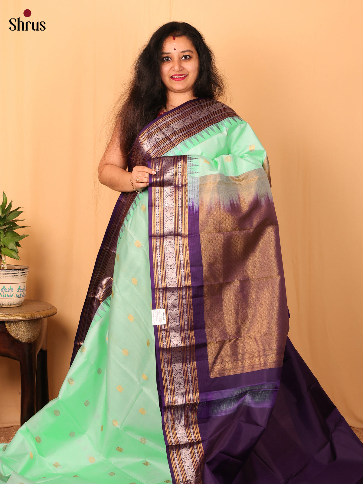 Pastel Green & Violet- Kanchipuram silk Saree - Shop on Shrus.com