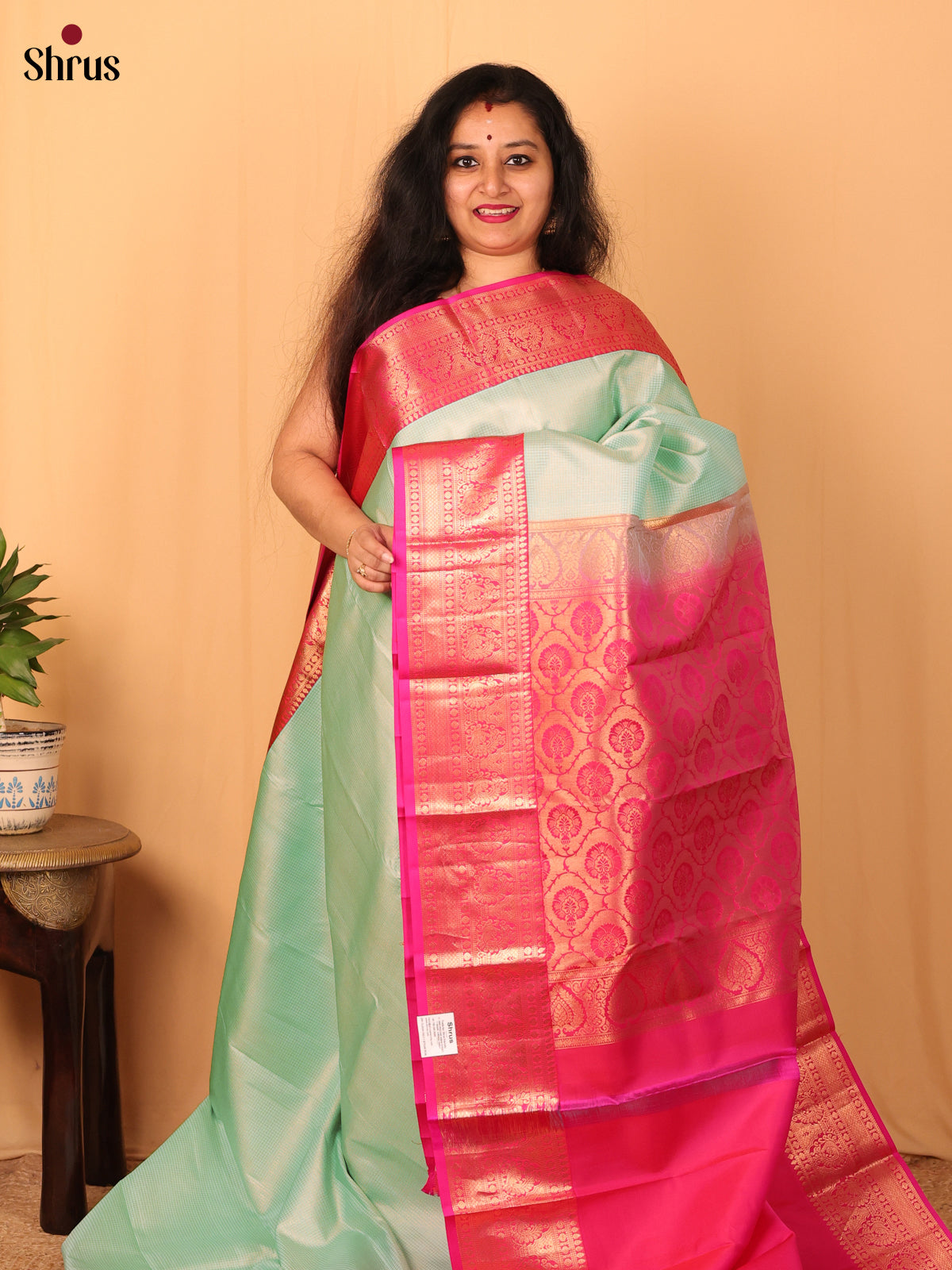 Pastel Green and Pink Pure Kanchipuram silk Saree With Zari Woven Checks - Shop on Shrus.com