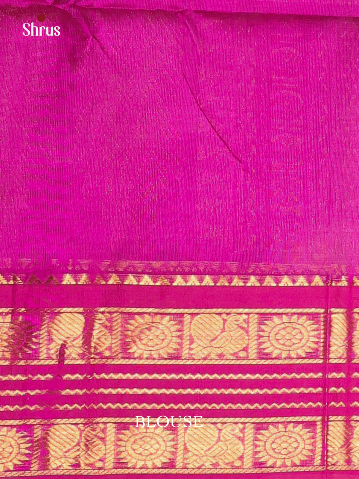 Leaf Green & majenta - Silk Cotton Saree - Shop on Shrus.com