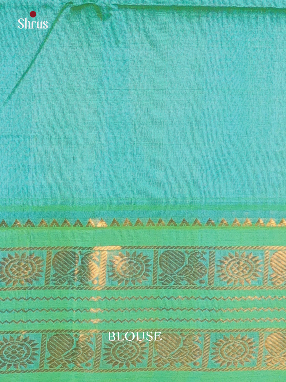 Cream & Teal - Silk Cotton Saree - Shop on Shrus.com