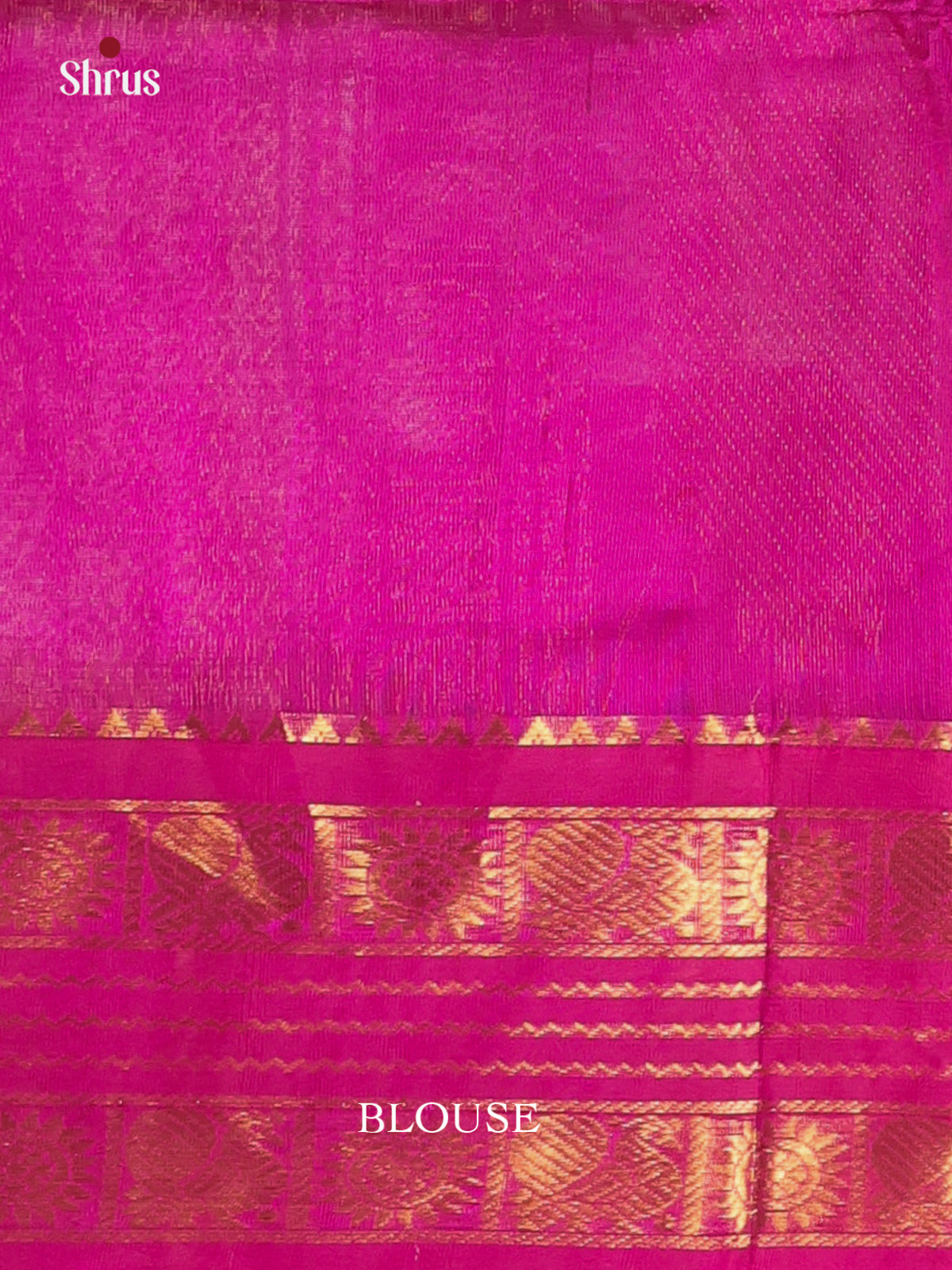 Teal & Majenta - Silk Cotton Saree - Shop on Shrus.com