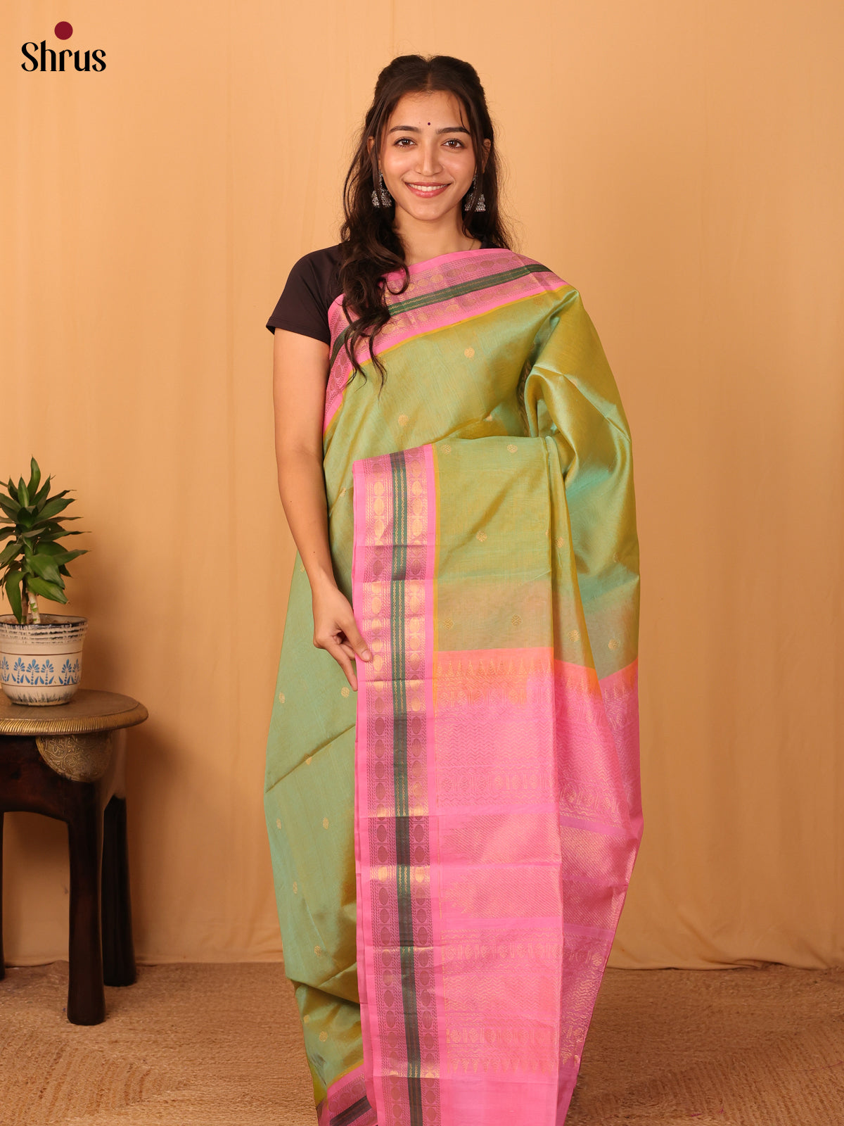 Double Shaded Green & Pink - Silk Cotton Saree - Shop on Shrus.com