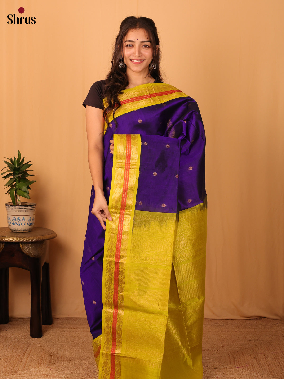 Violet & Green- Silk Cotton Saree - Shop on Shrus.com