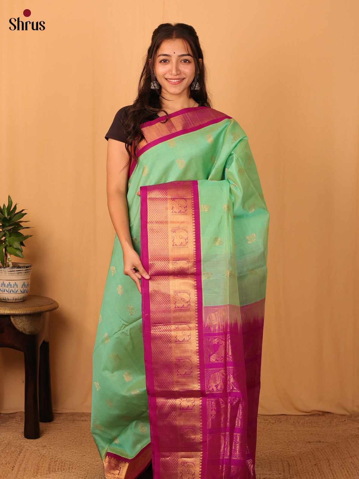 Pastel Green & Pink - Silk Cotton Saree - Shop on Shrus.com