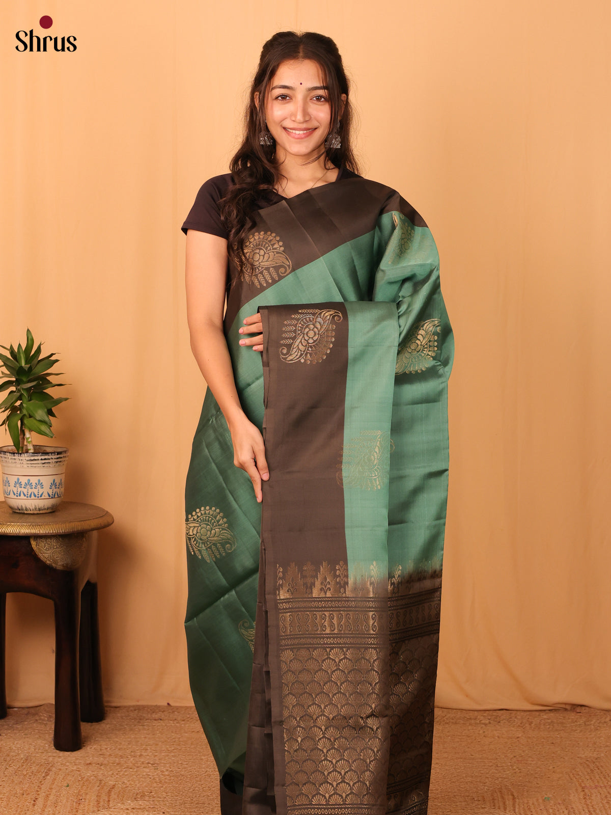 Pastel Green & Elephant Black - Softsilk-halfpure Saree - Shop on Shrus.com