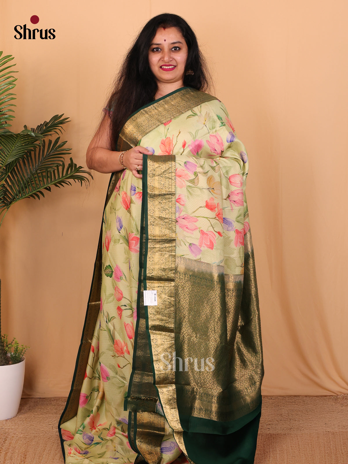 Pastel Green & Green - Kanchipuram silk Saree - Shop on Shrus.com