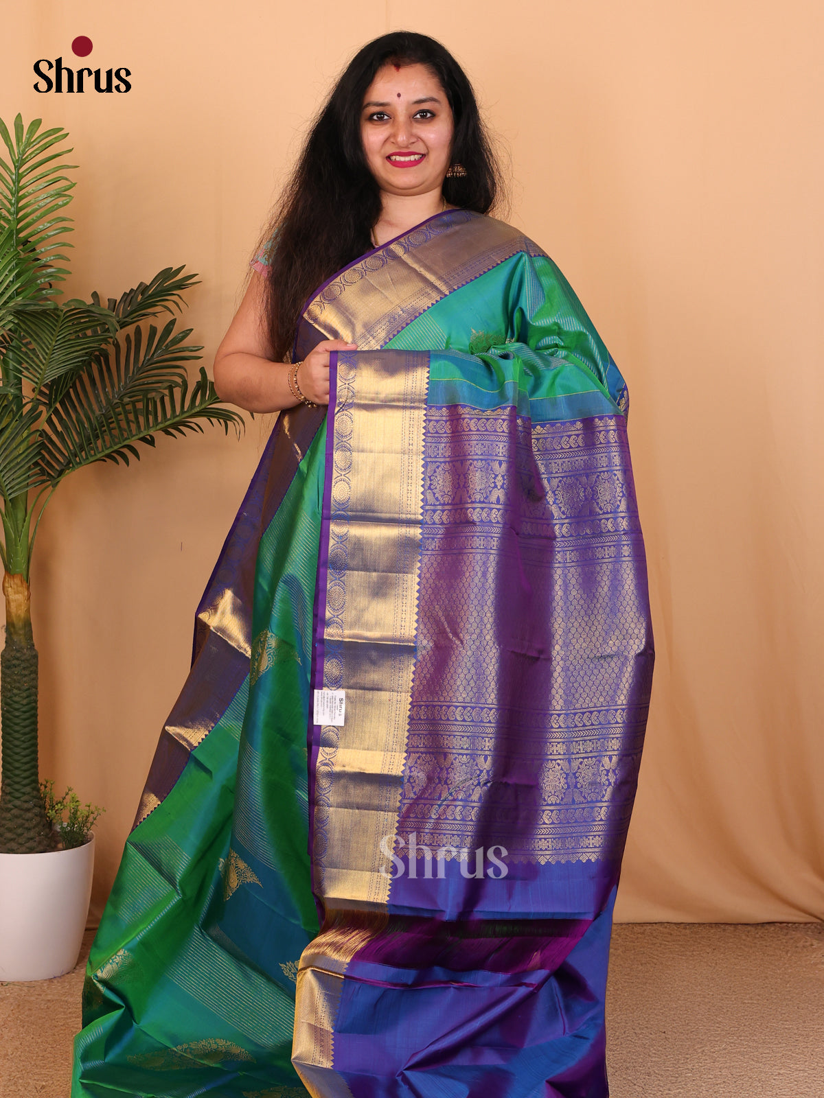 Green And Blue Kanchipuram silk Saree With Pure Zari Woven Stripes and Motifs - Shop on Shrus.com