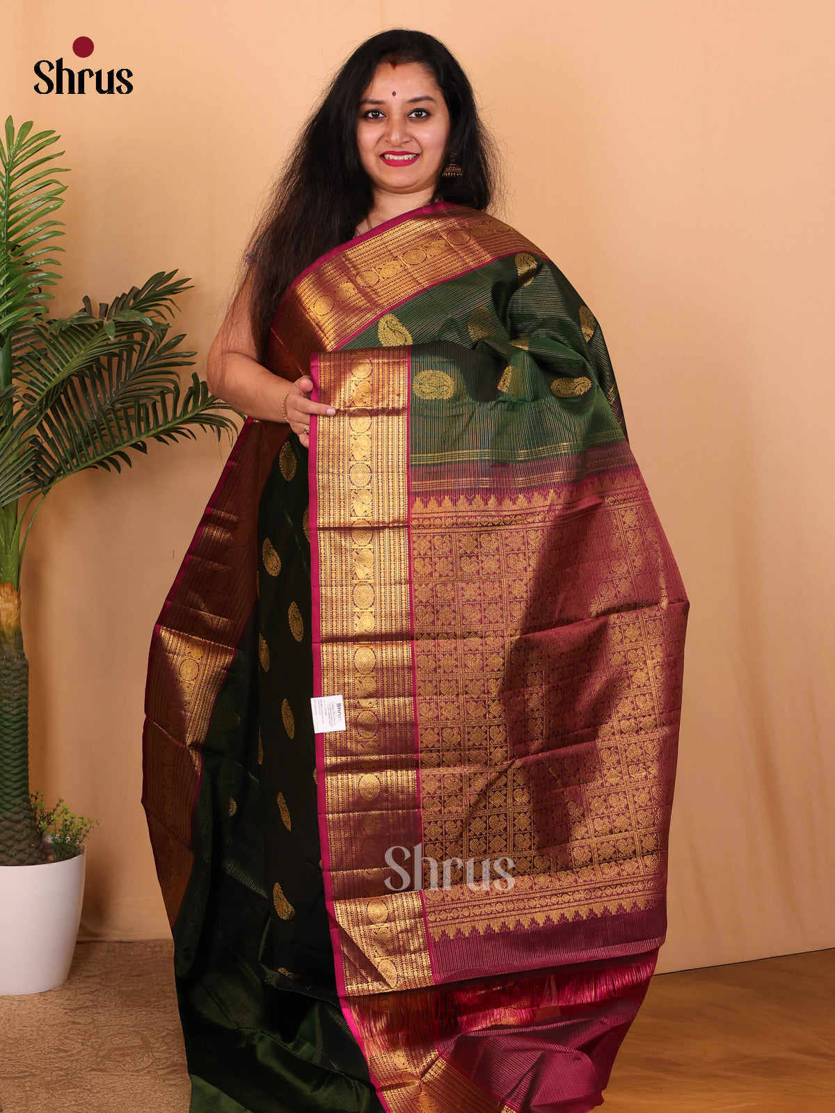 Green & Maroon - Kanchipuram silk Saree - Shop on Shrus.com