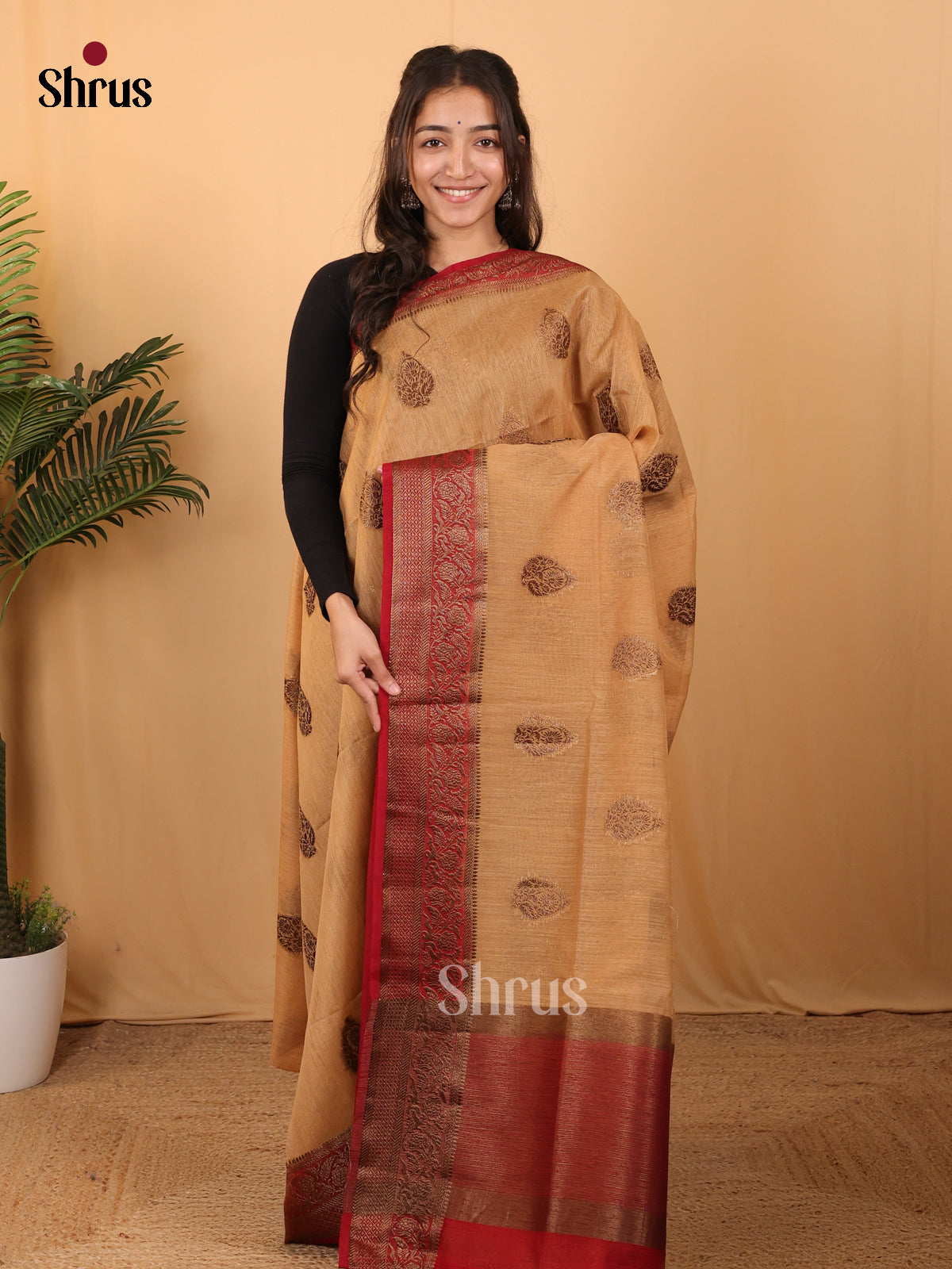 Beige & Maroon - Semi Jute Saree - Shop on Shrus.com