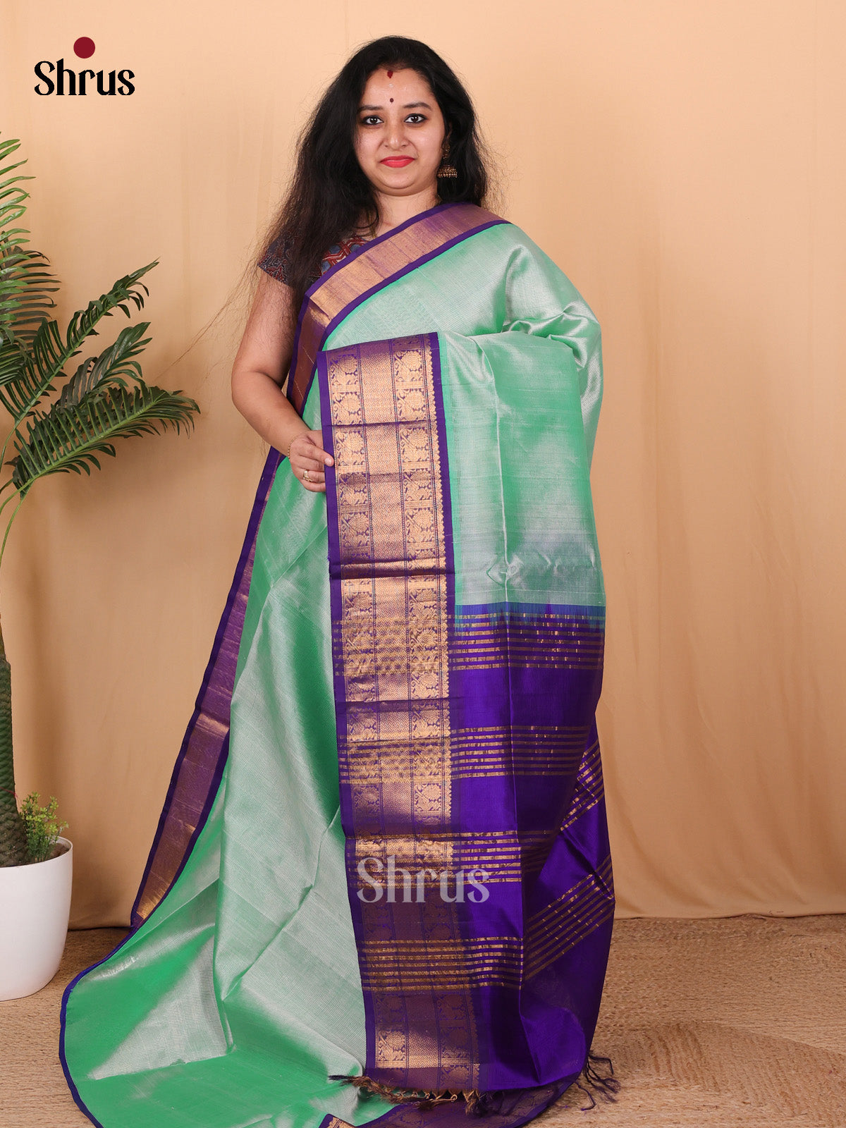Pastel Green & Violet - Silk Cotton Saree - Shop on Shrus.com