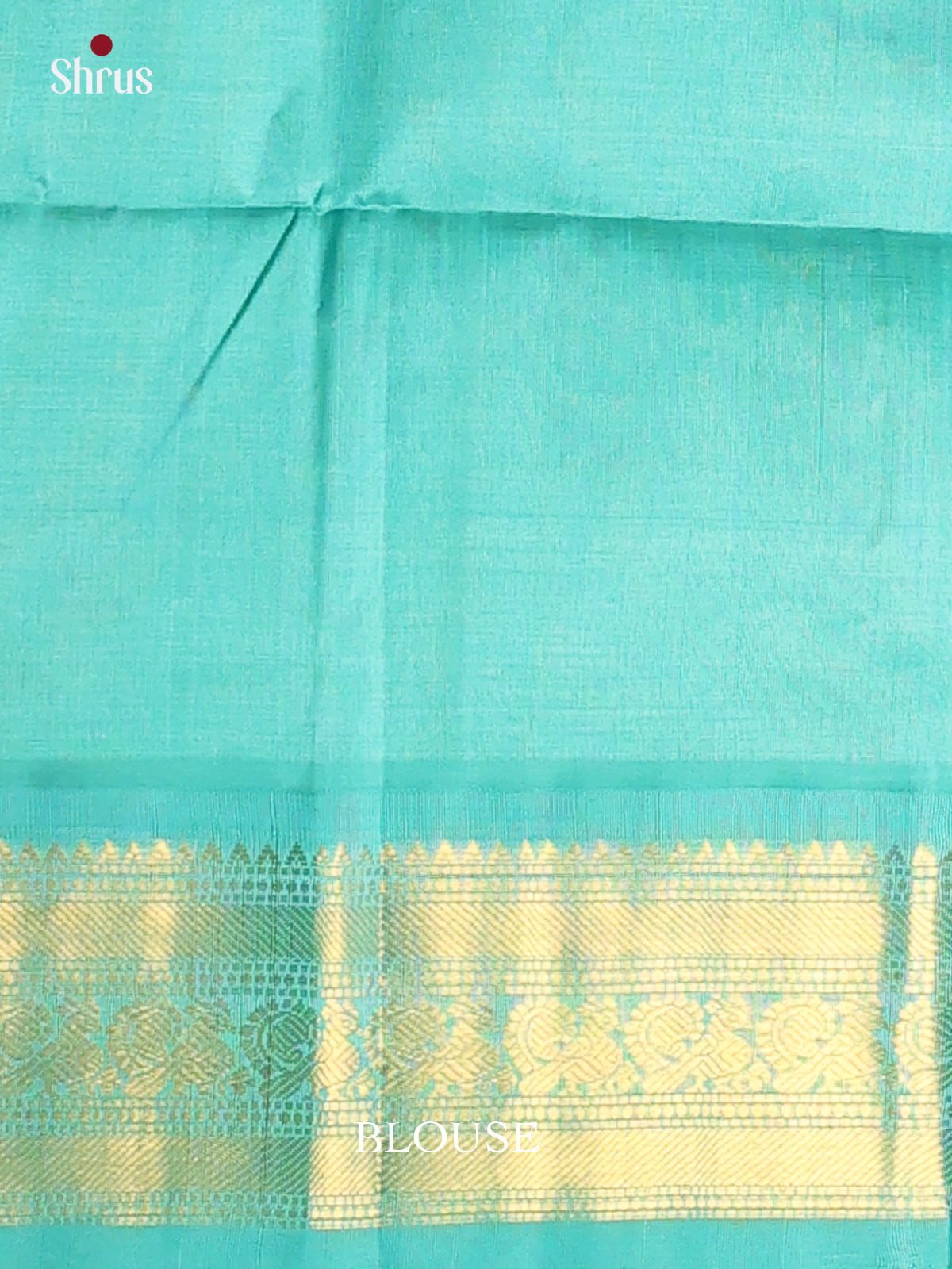 Cream & Teal - Silk Cotton Saree - Shop on Shrus.com