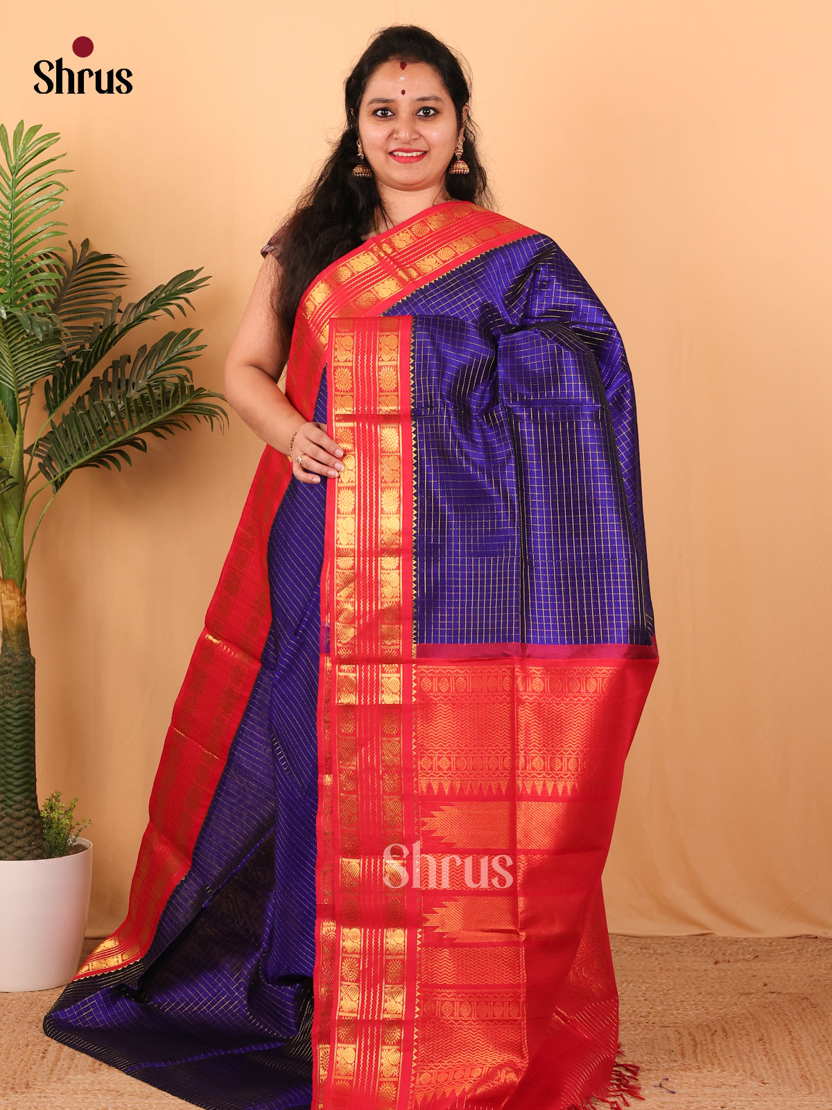 Blue & Red - Silk Cotton Saree - Shop on Shrus.com
