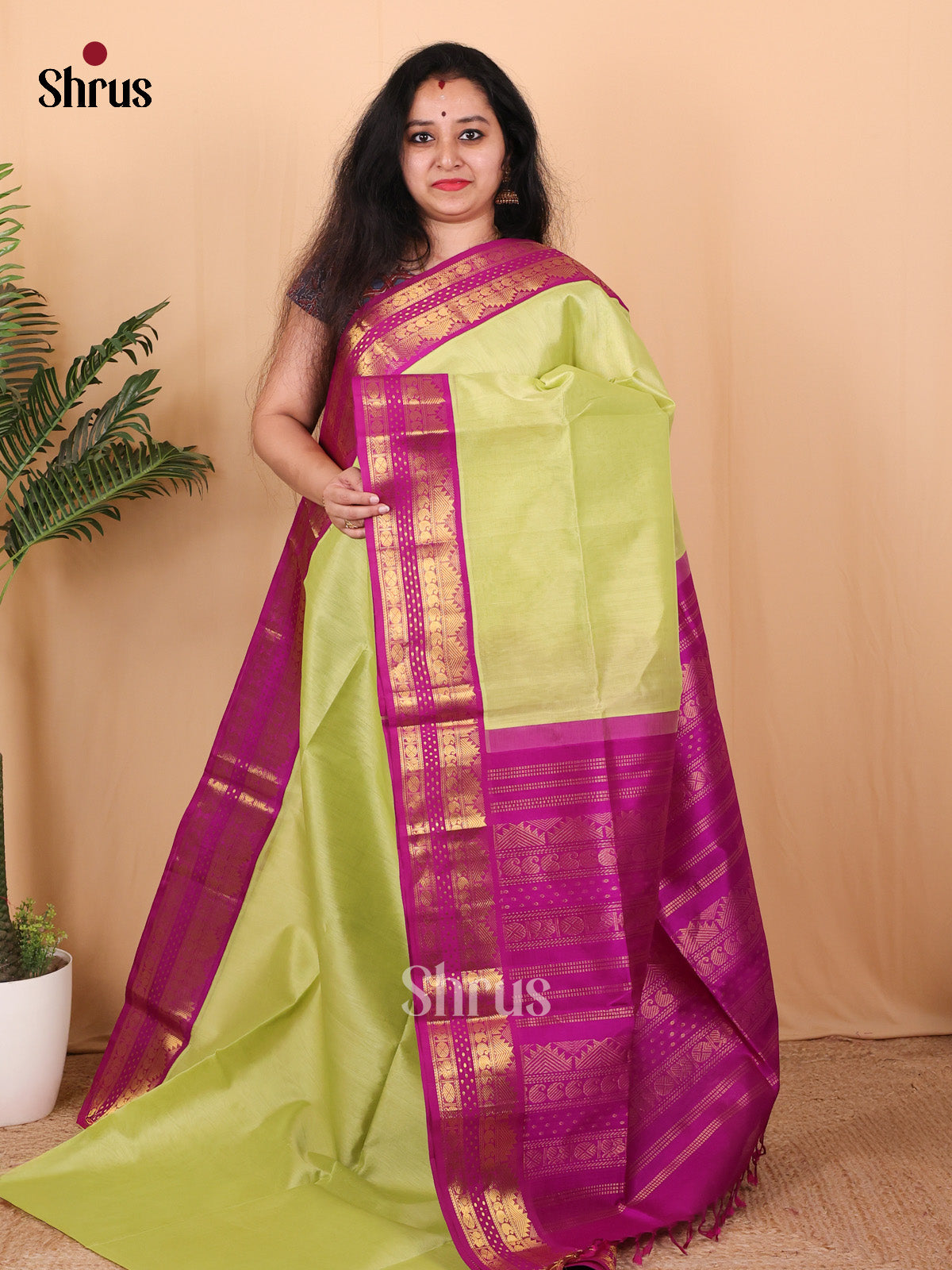 Pista Green & Majenta - Silk Cotton Saree - Shop on Shrus.com