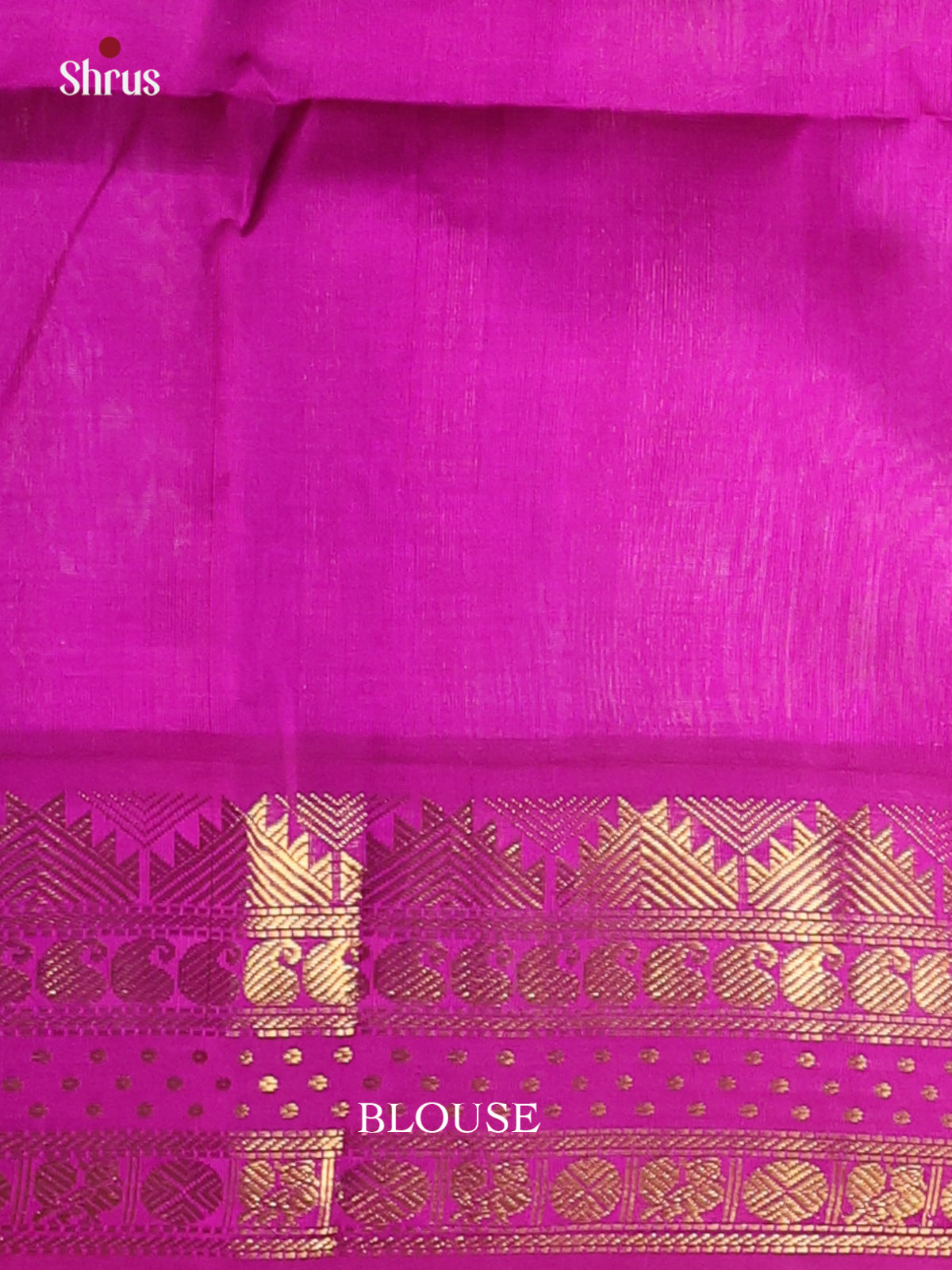 Pista Green & Majenta - Silk Cotton Saree - Shop on Shrus.com
