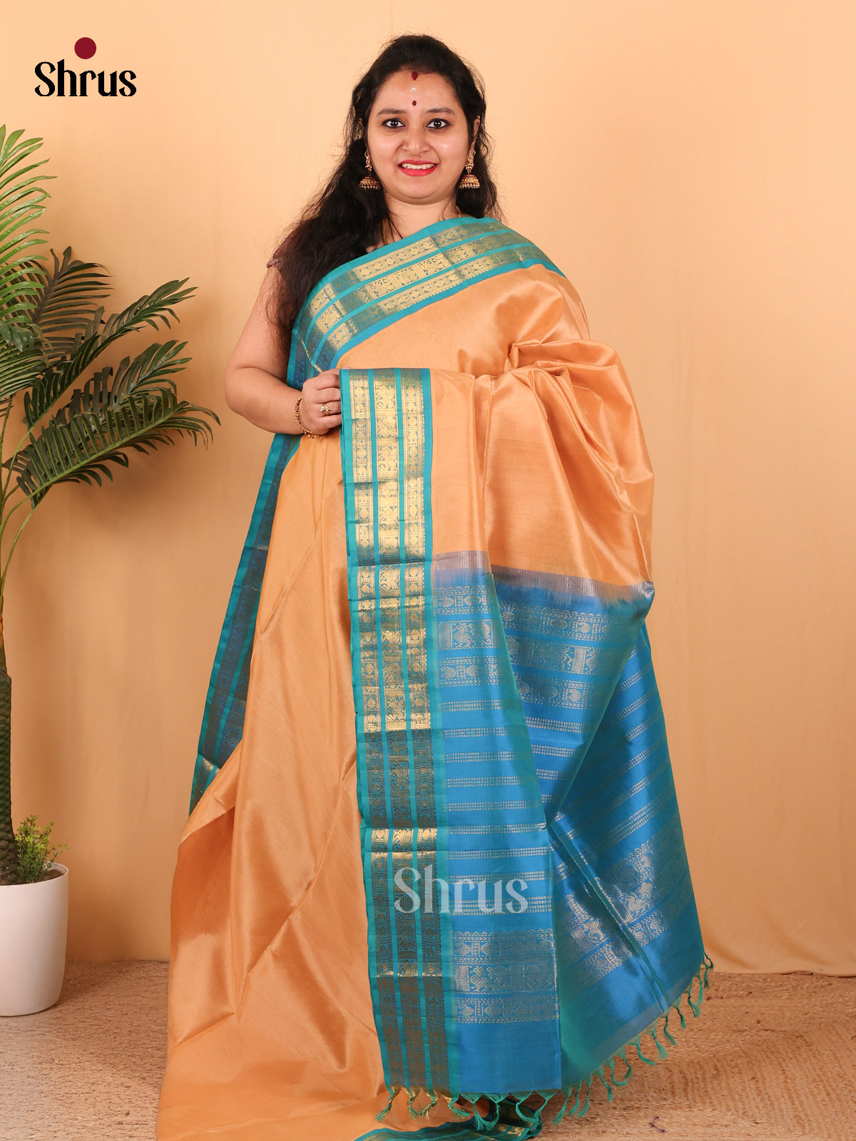 Peach & Blue - Silk Cotton Saree - Shop on Shrus.com