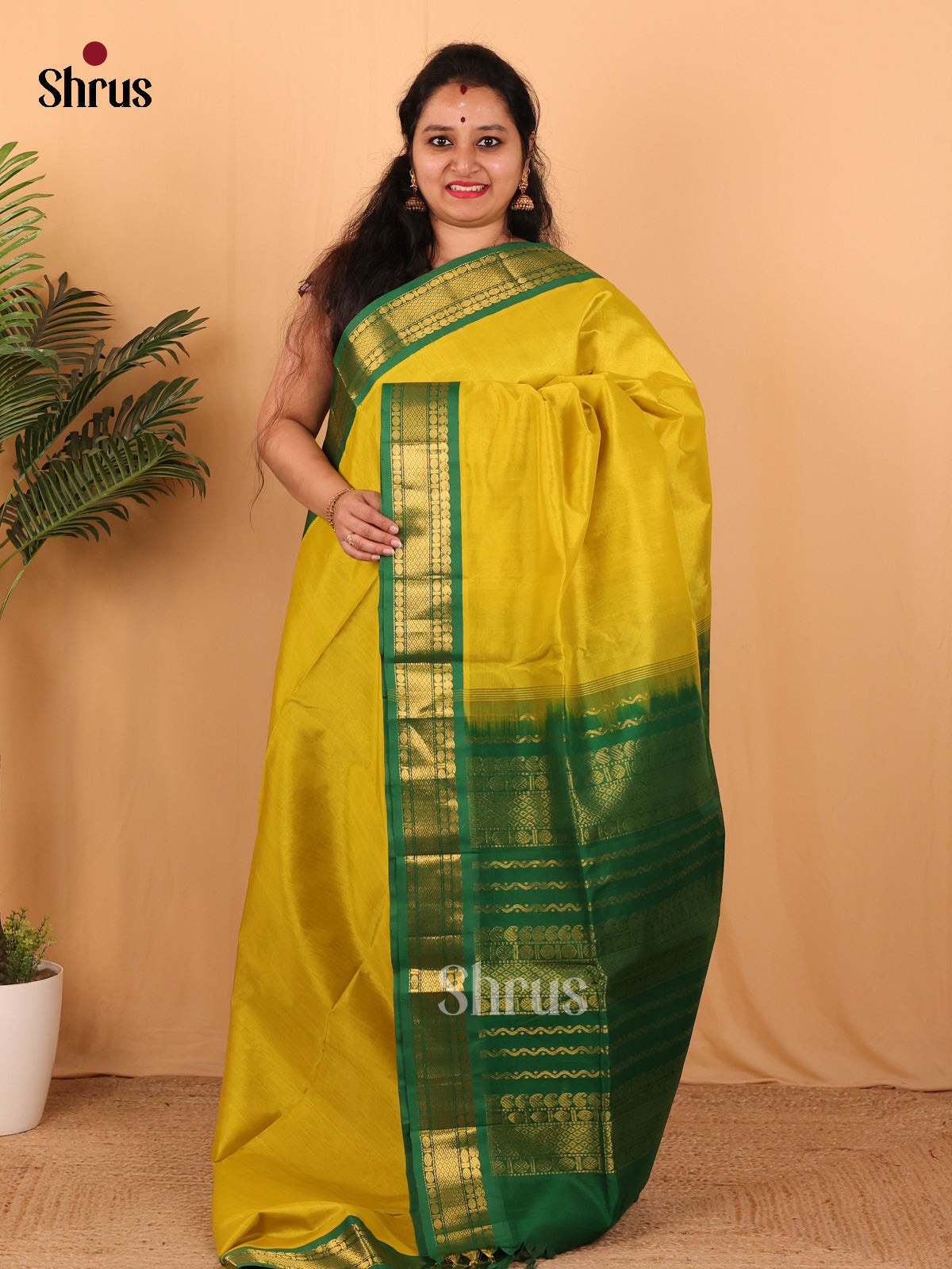 Mustardy Green & Green- Silk Cotton Saree - Shop on Shrus.com