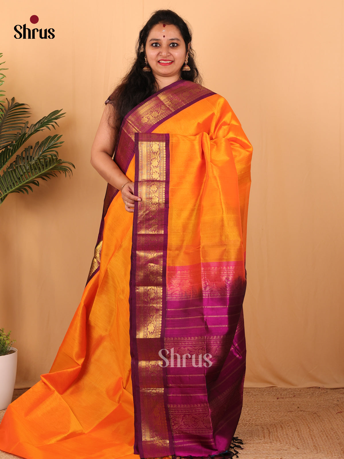 Mambazha Yellow & Purple - Silk Cotton Saree - Shop on Shrus.com