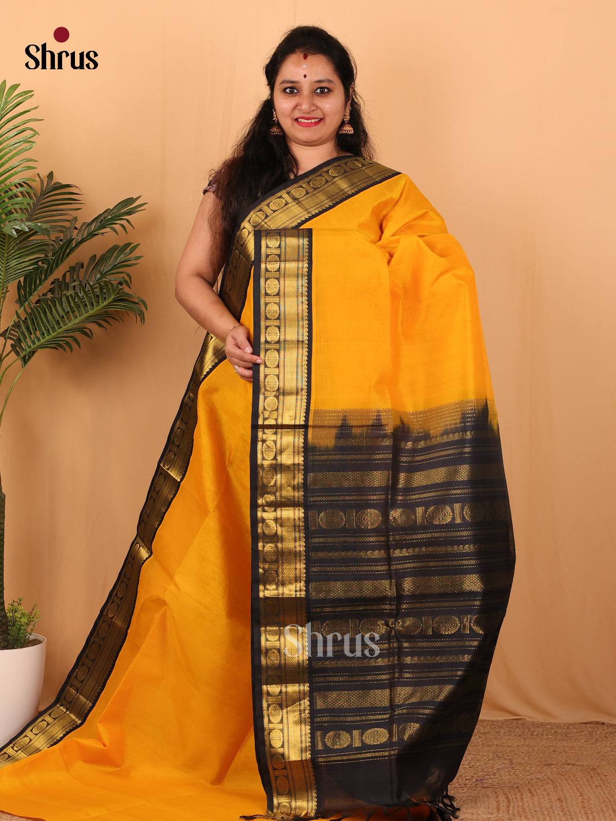 Yellow- Silk Cotton Saree - Shop on Shrus.com