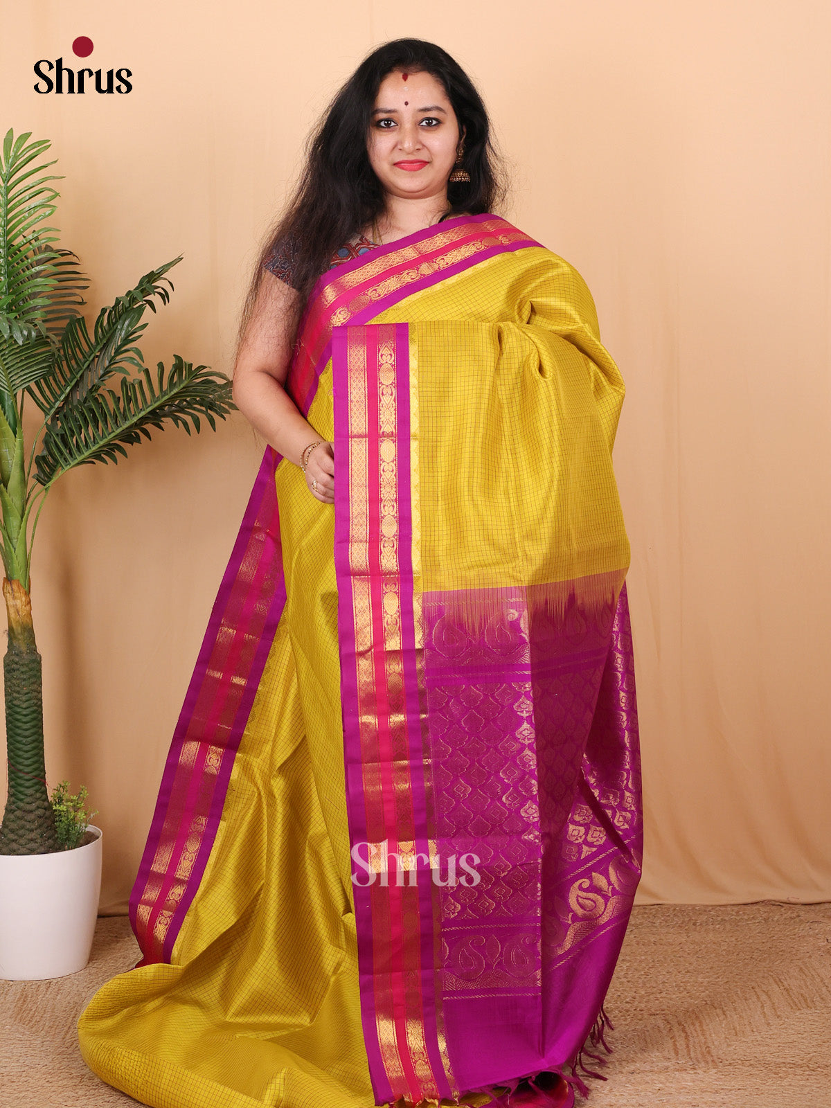 Mustard & Majenta - Silk Cotton Saree - Shop on Shrus.com