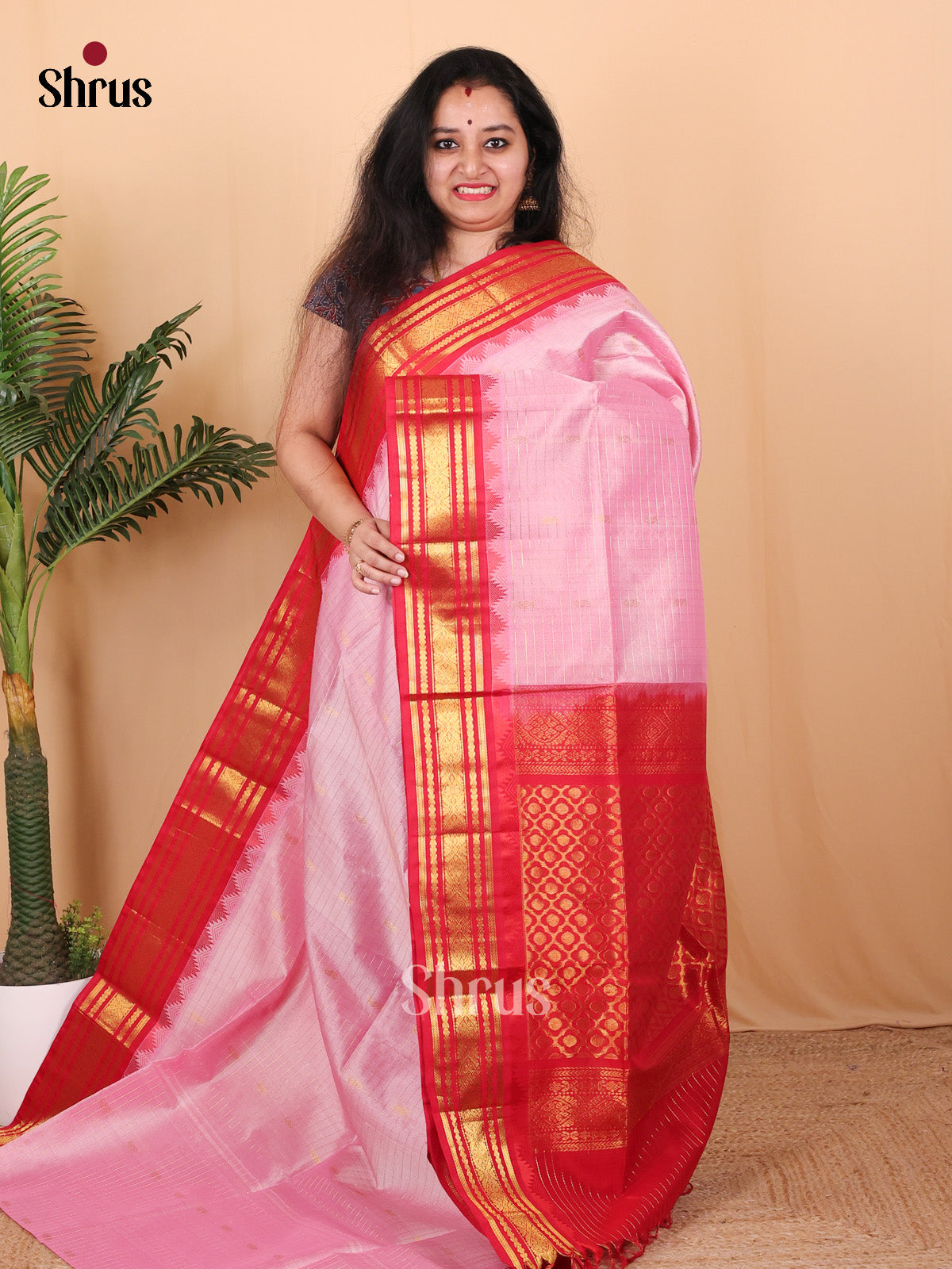Pink & Red - Silk Cotton Saree - Shop on Shrus.com